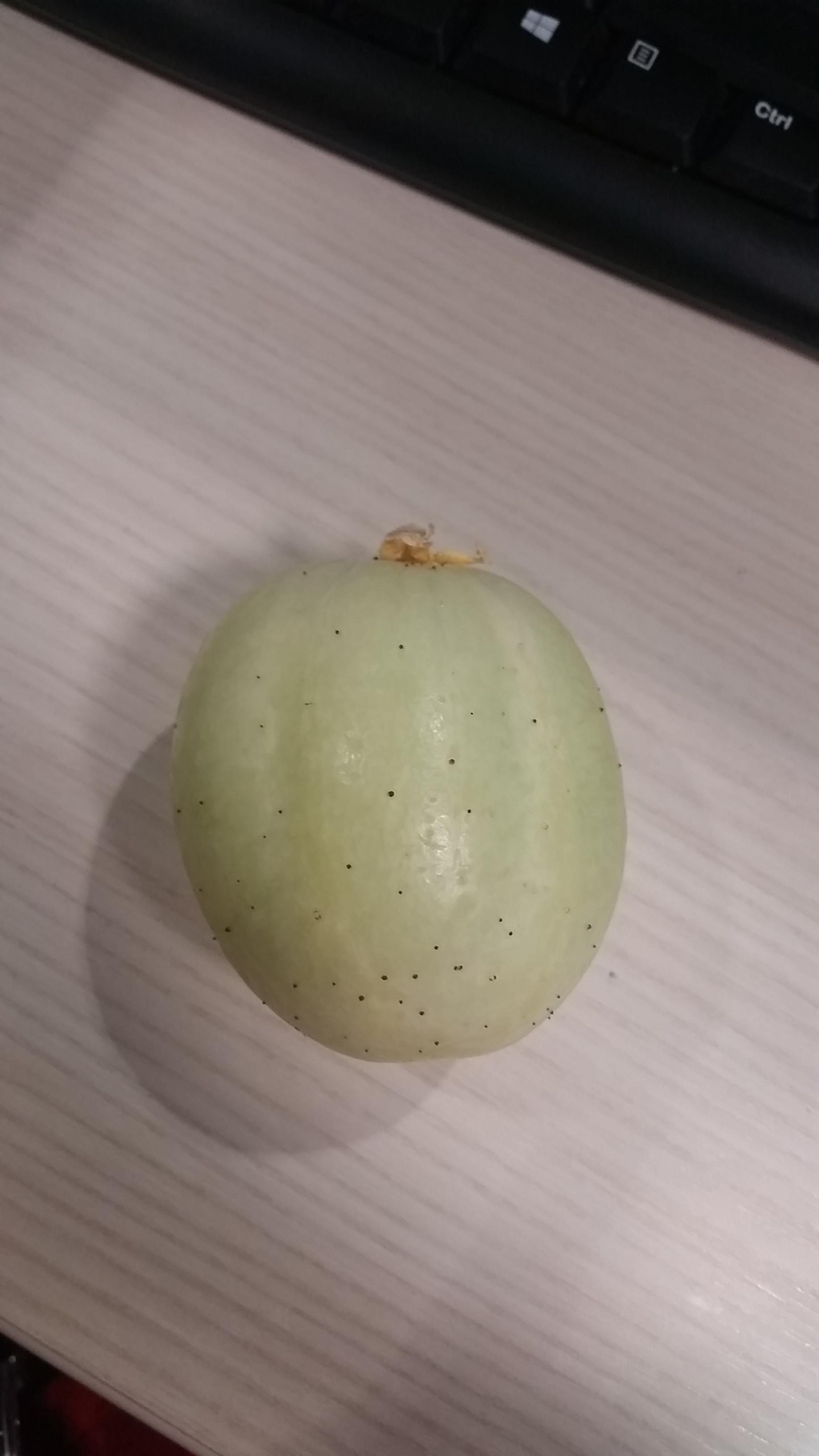 Someone brought these in to work for us to take no idea who. What is