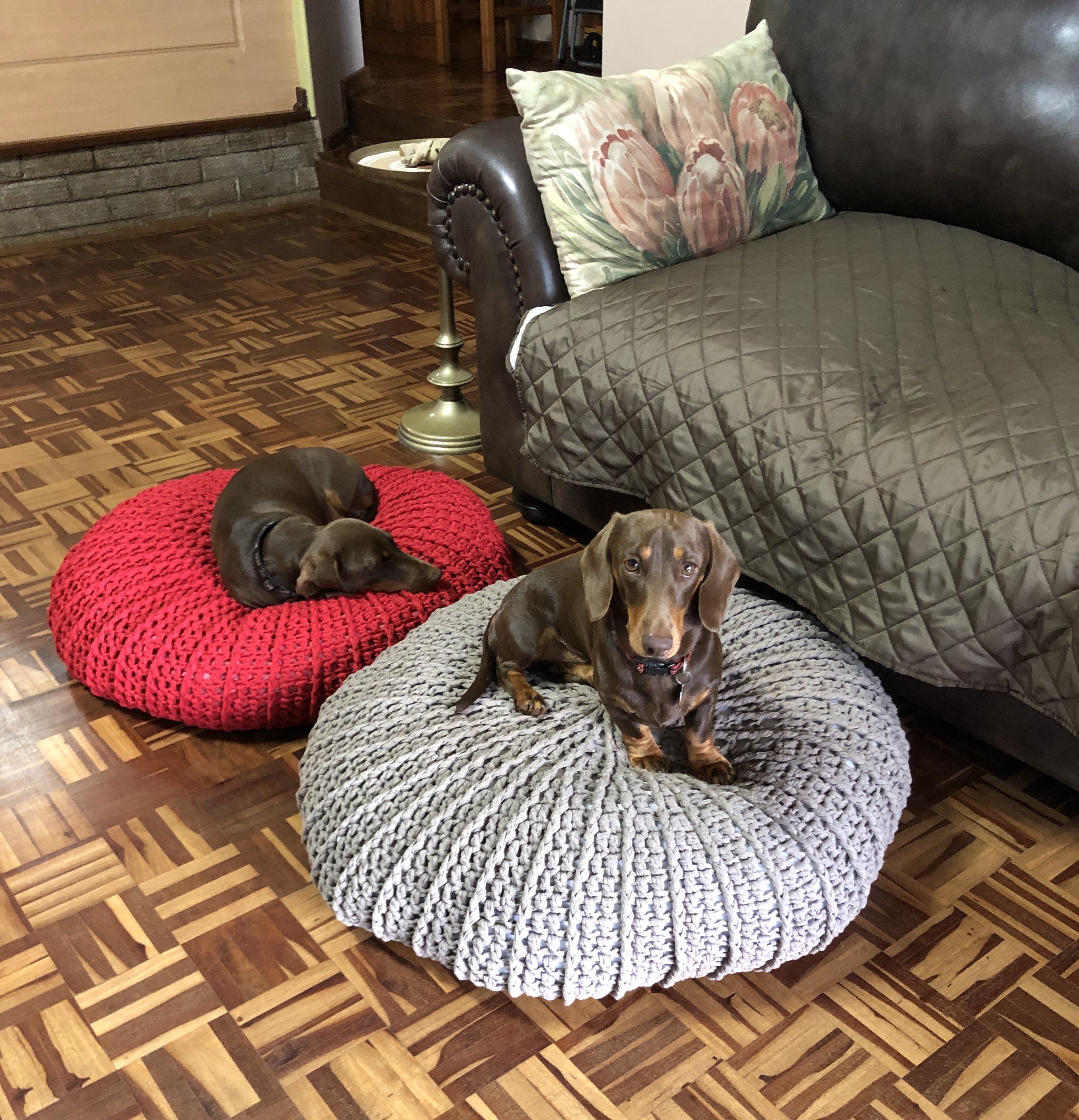 It is a dog’s life! Dog beds crocheted using size 12mm hook and modeled