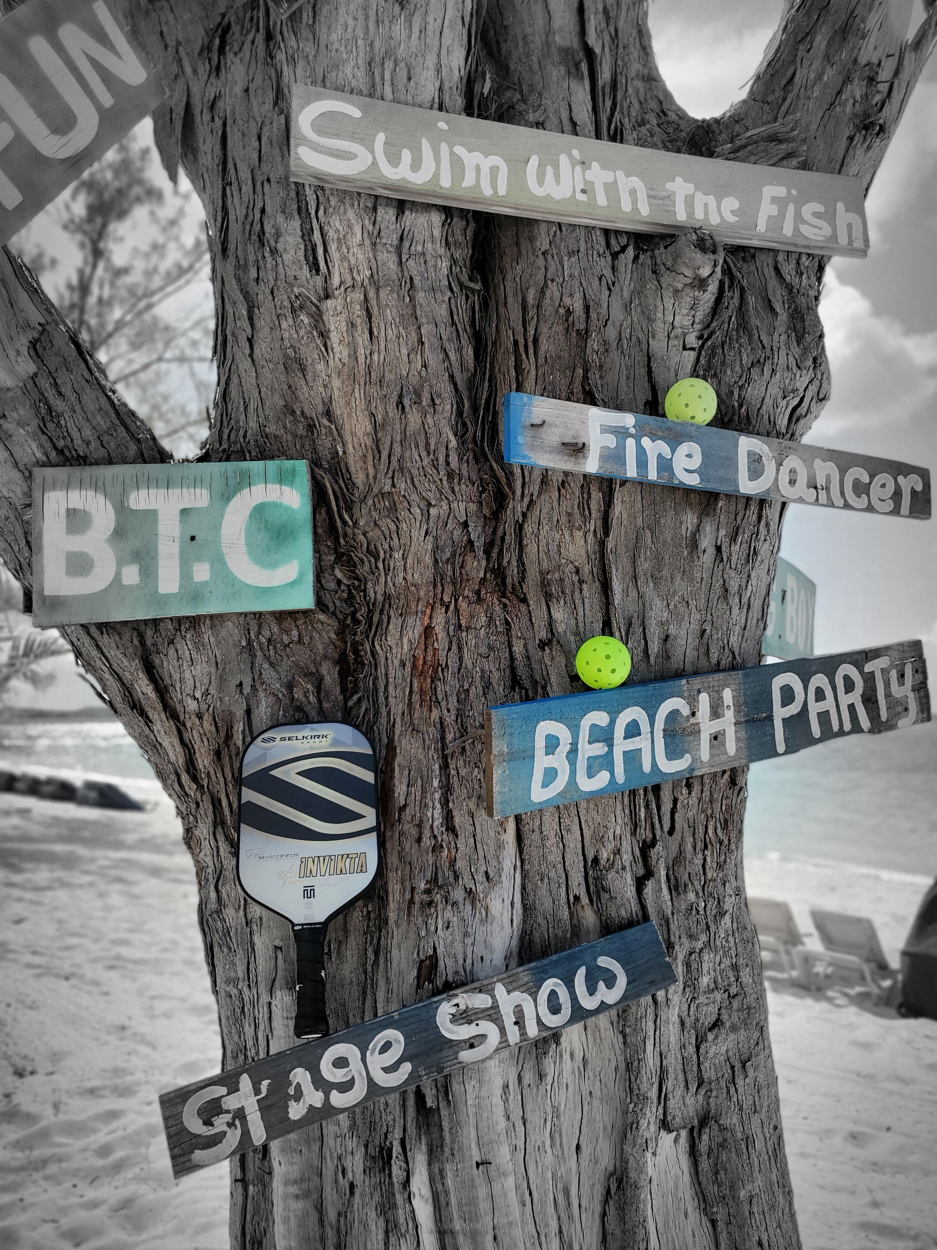 Kitchen momentum and opposing team Pickleball