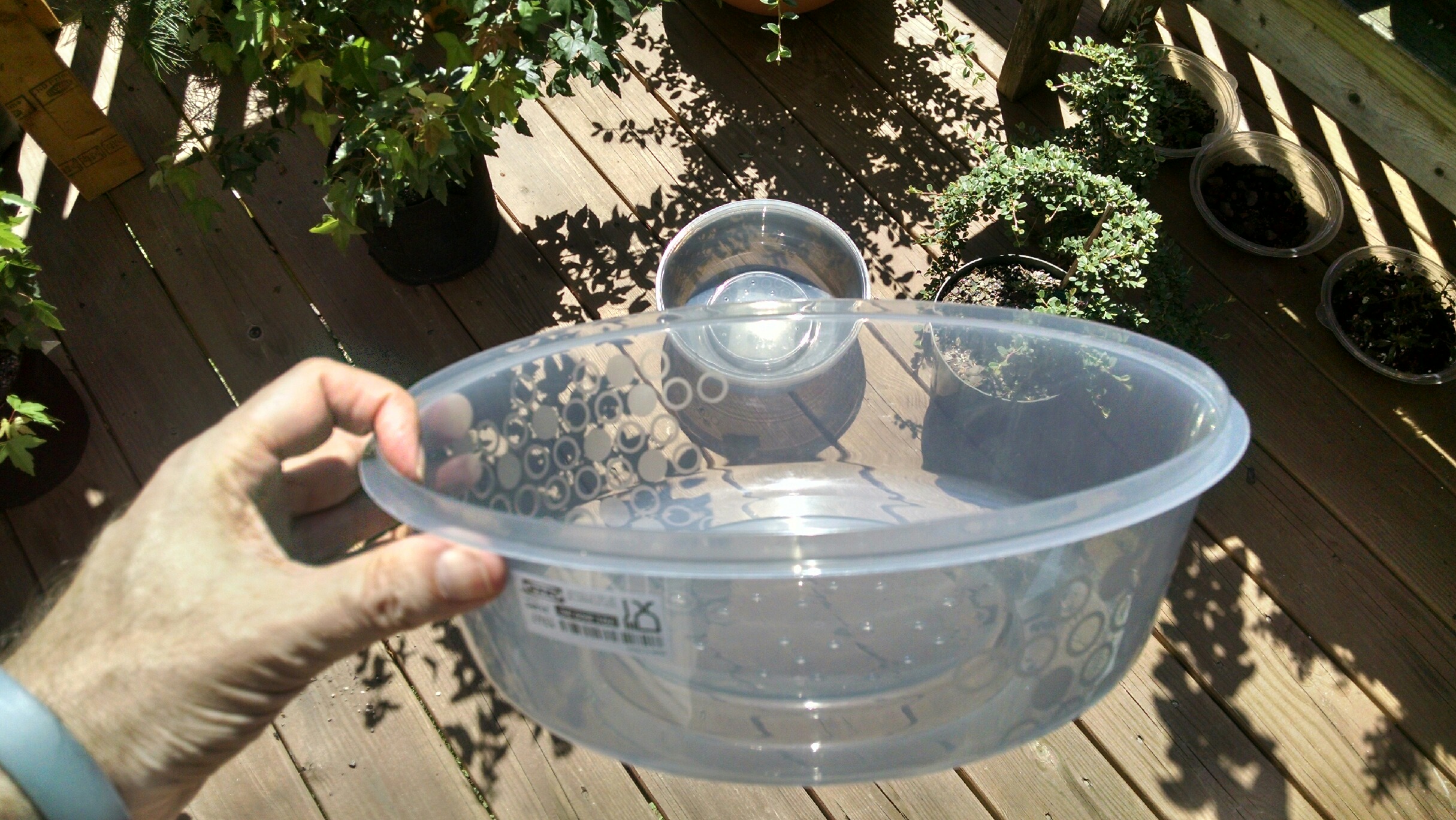 Cheap Training Pot Score r/Bonsai