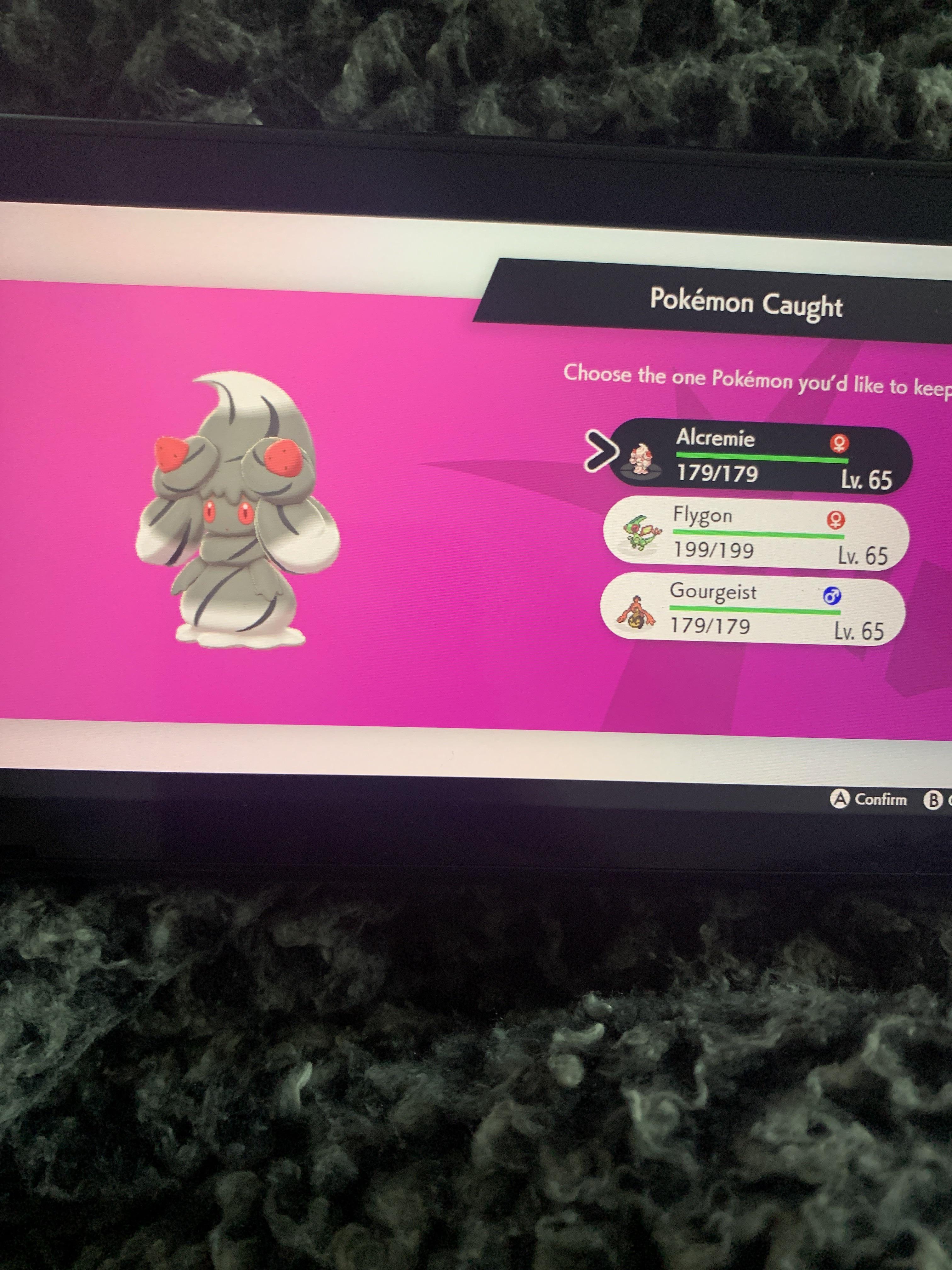First Shiny in the Max Lair! Whatevs r/PokemonSwordAndShield