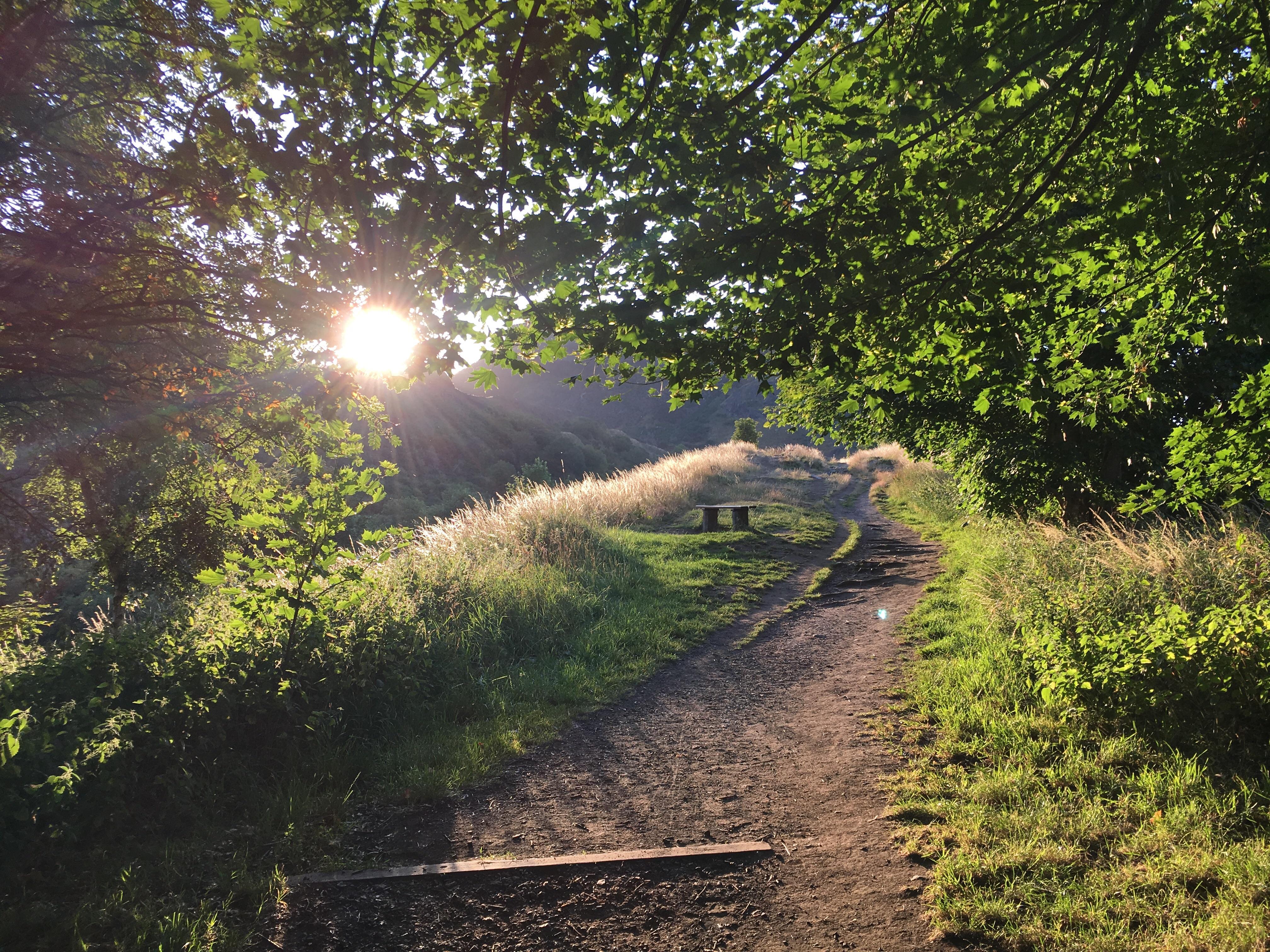 Sunrise at St Leonard's Bank, Holyrood Park, recently r/Edinburgh