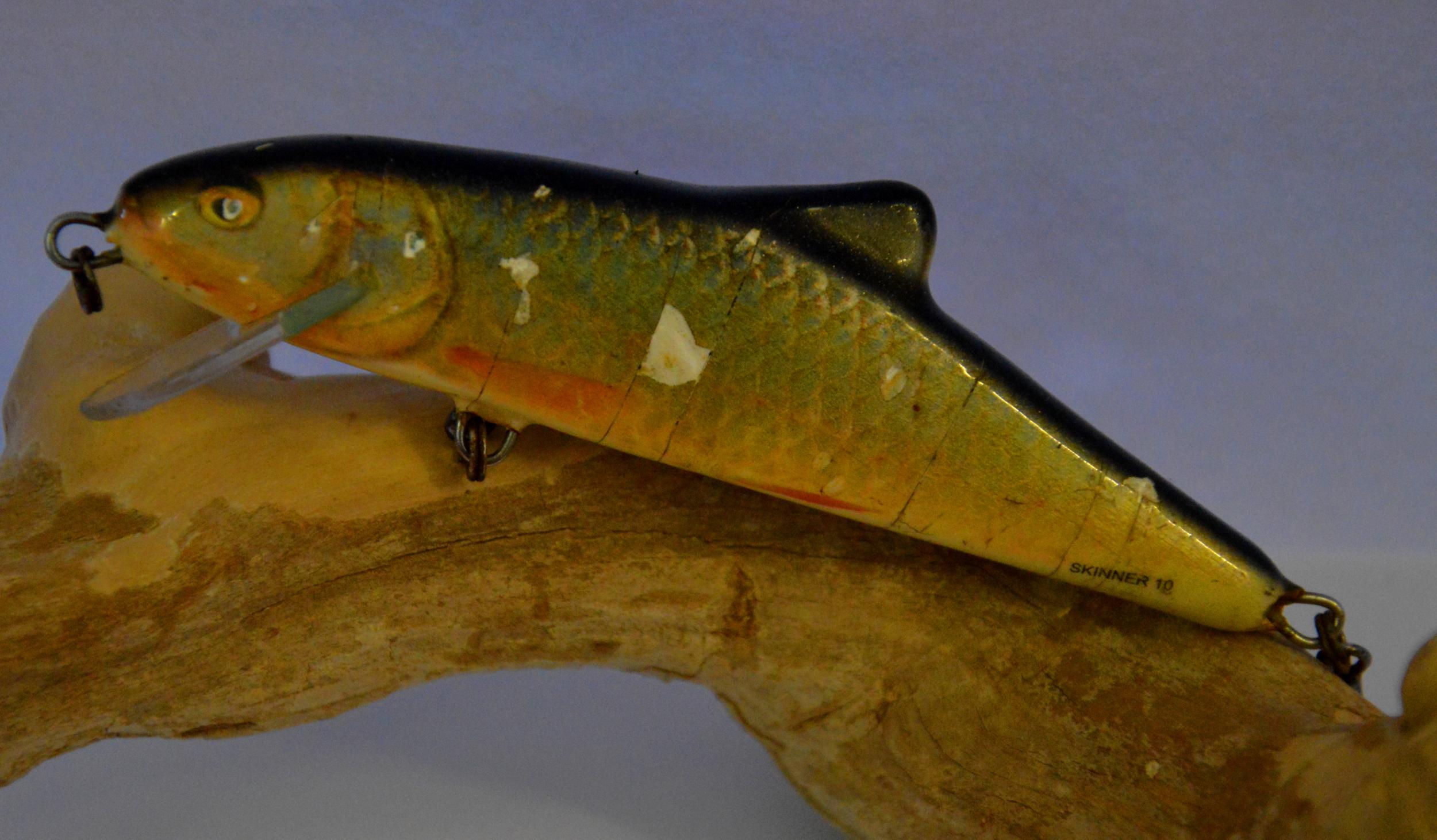 Just a picture of my favorite Northern Pike bait. I rarely