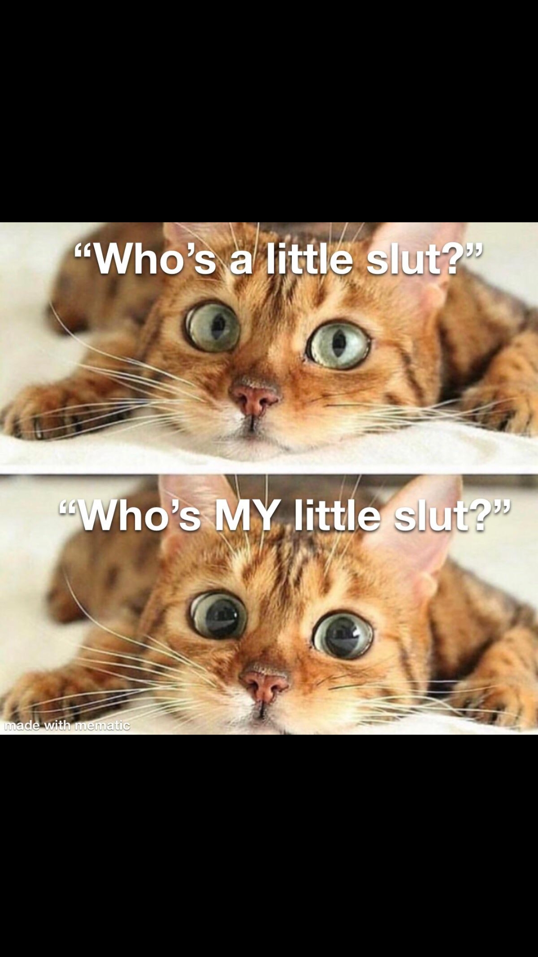 & when he uses THE voice. Oh lawdy. r/BratLife