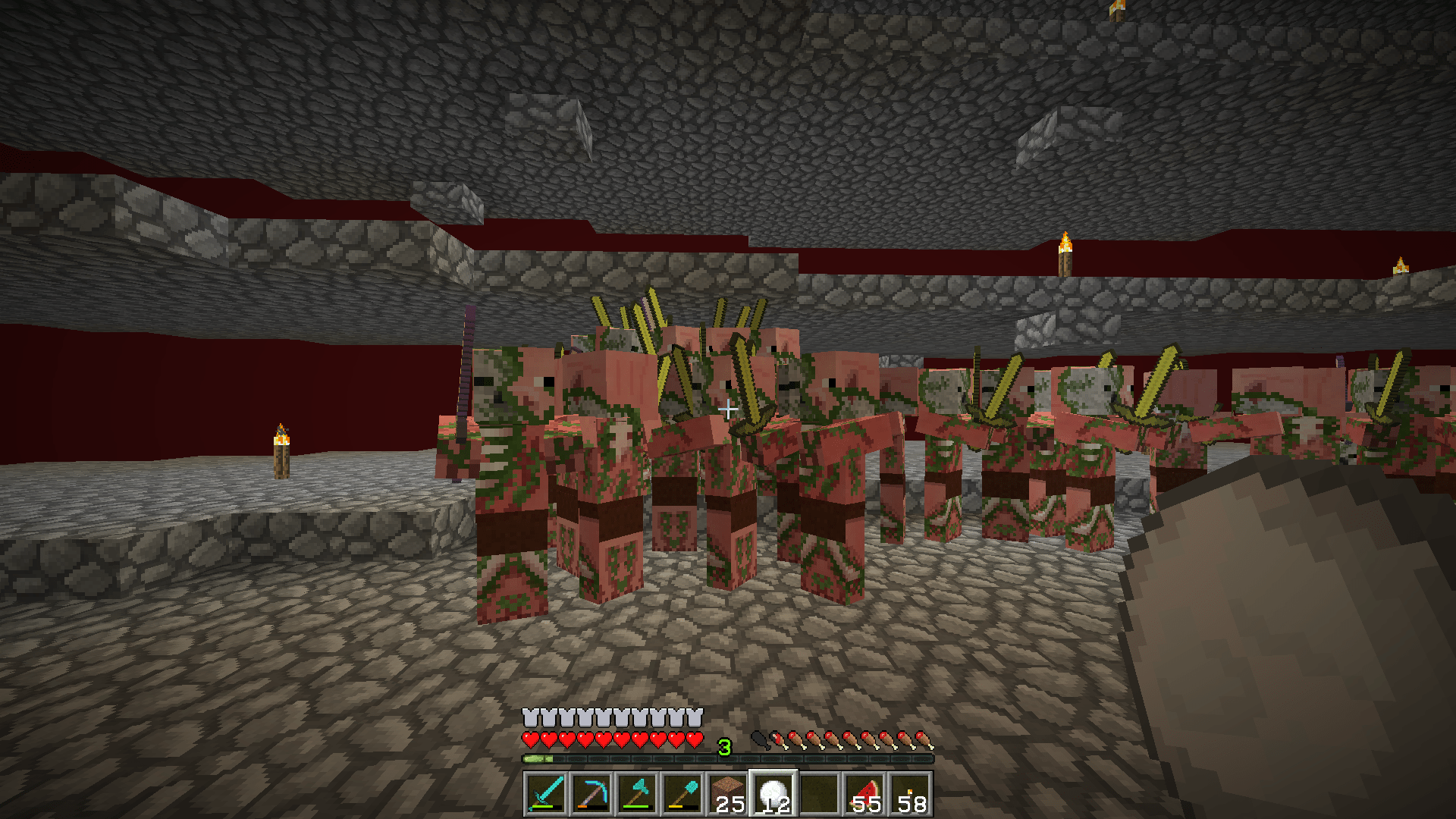 I just built my first zombie pigmen xp / gold farm not sure why they