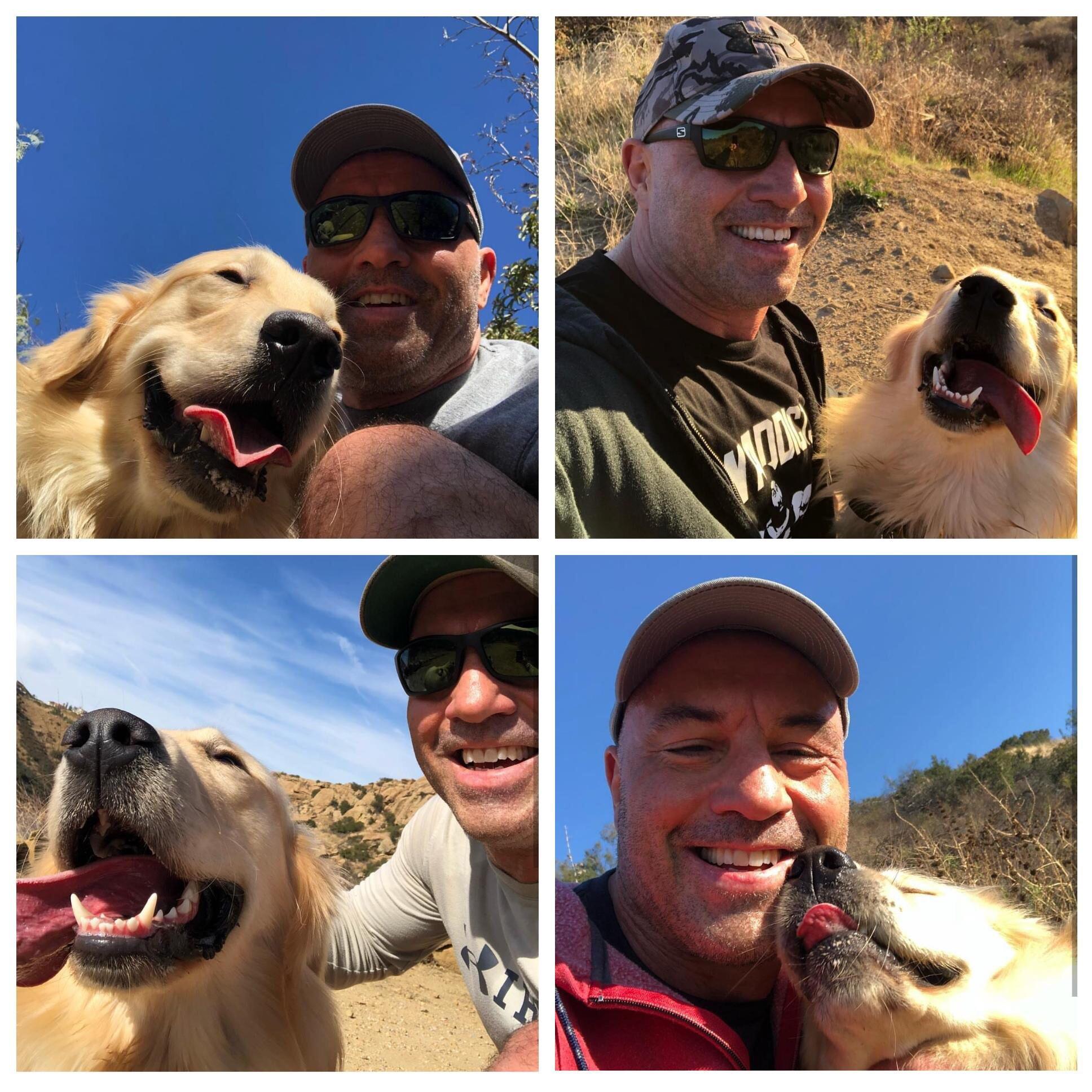 Joe Rogan’s puppy can’t stop smilin r/PuppySmiles