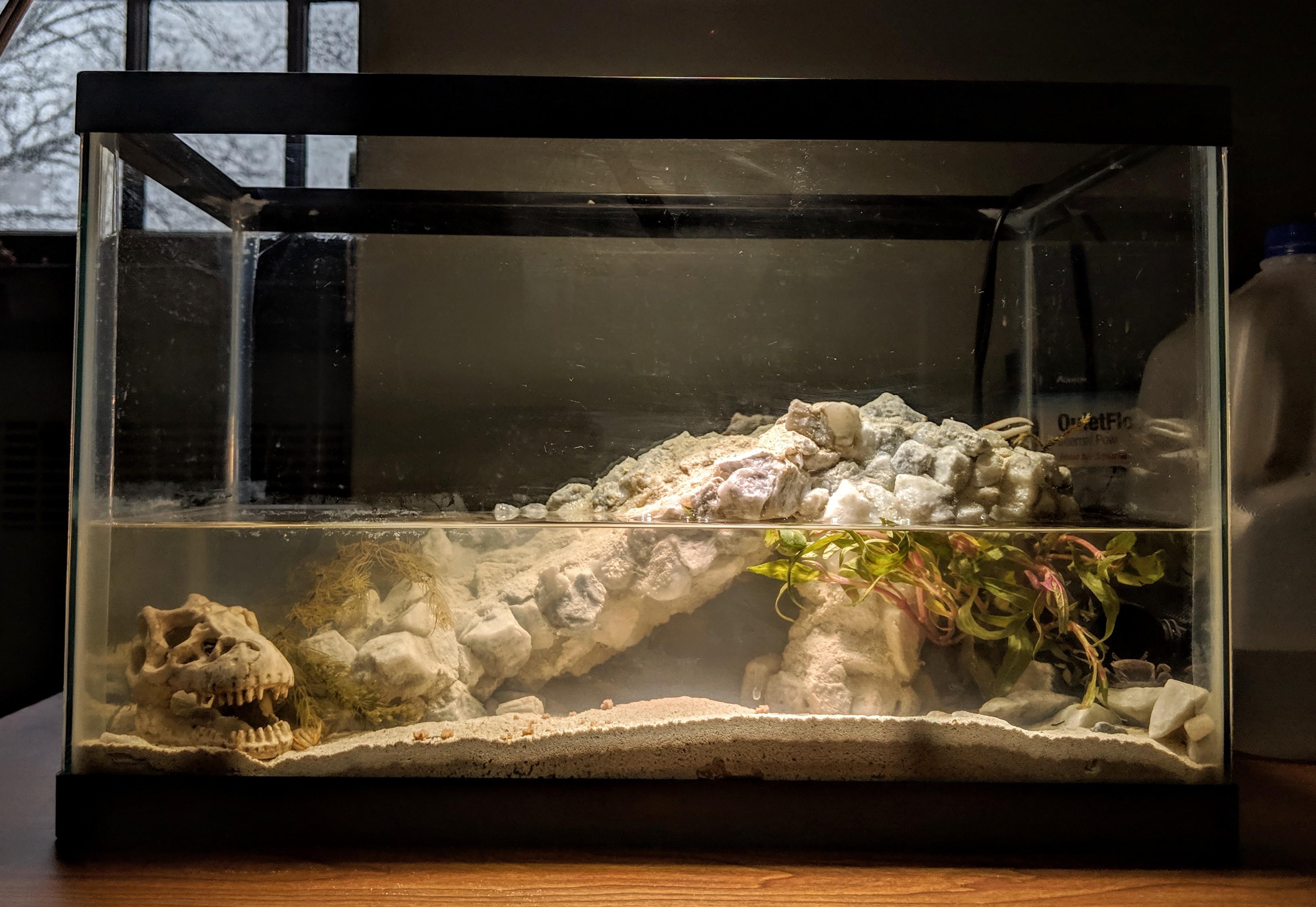 Crab tank! Does anyone have any suggestions? r/Aquariums