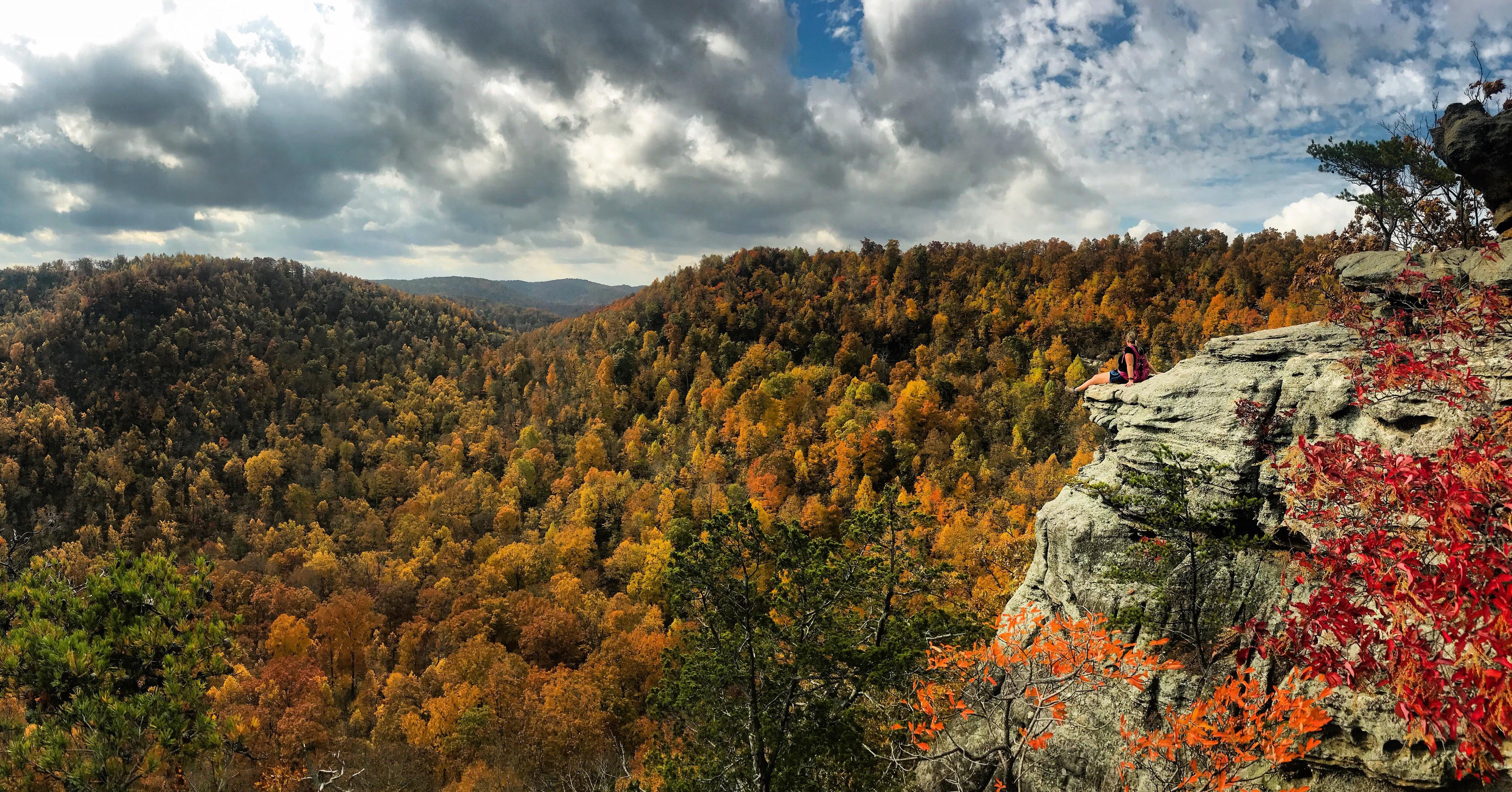 There is nothing quite like Fall. Pinnacles of Berea, Berea, KY. r/hiking