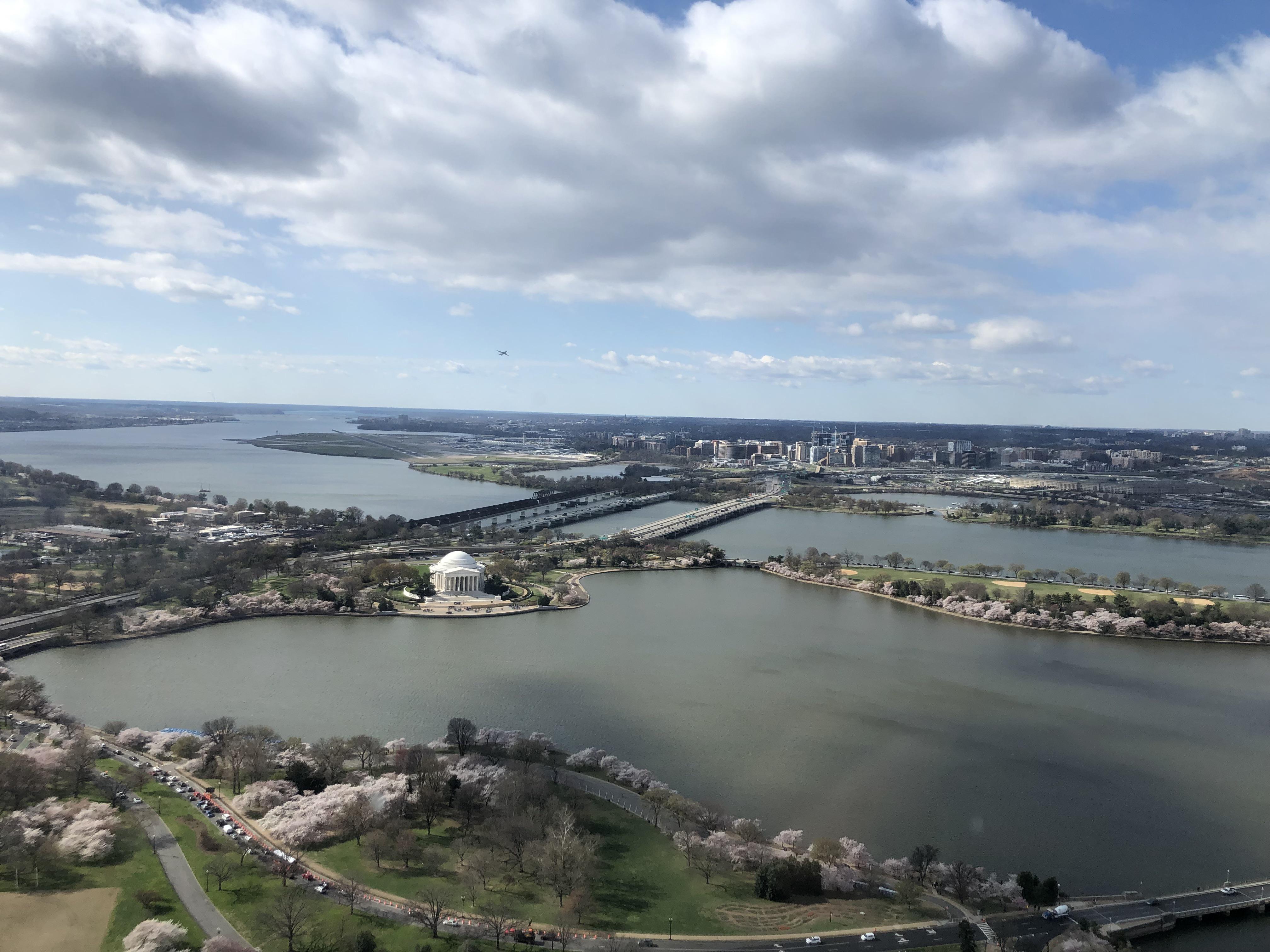 225 best Ash Blossom images on Pholder Washingtondc, Masterduel and