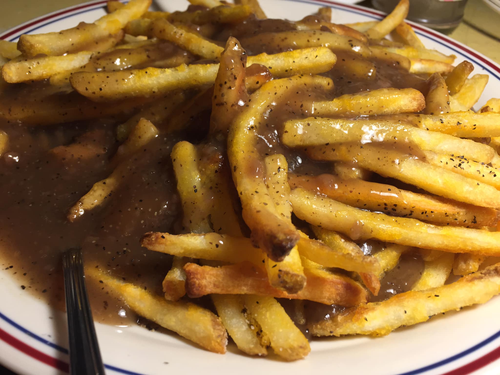 Delicious gravy fries! r/VeganChill