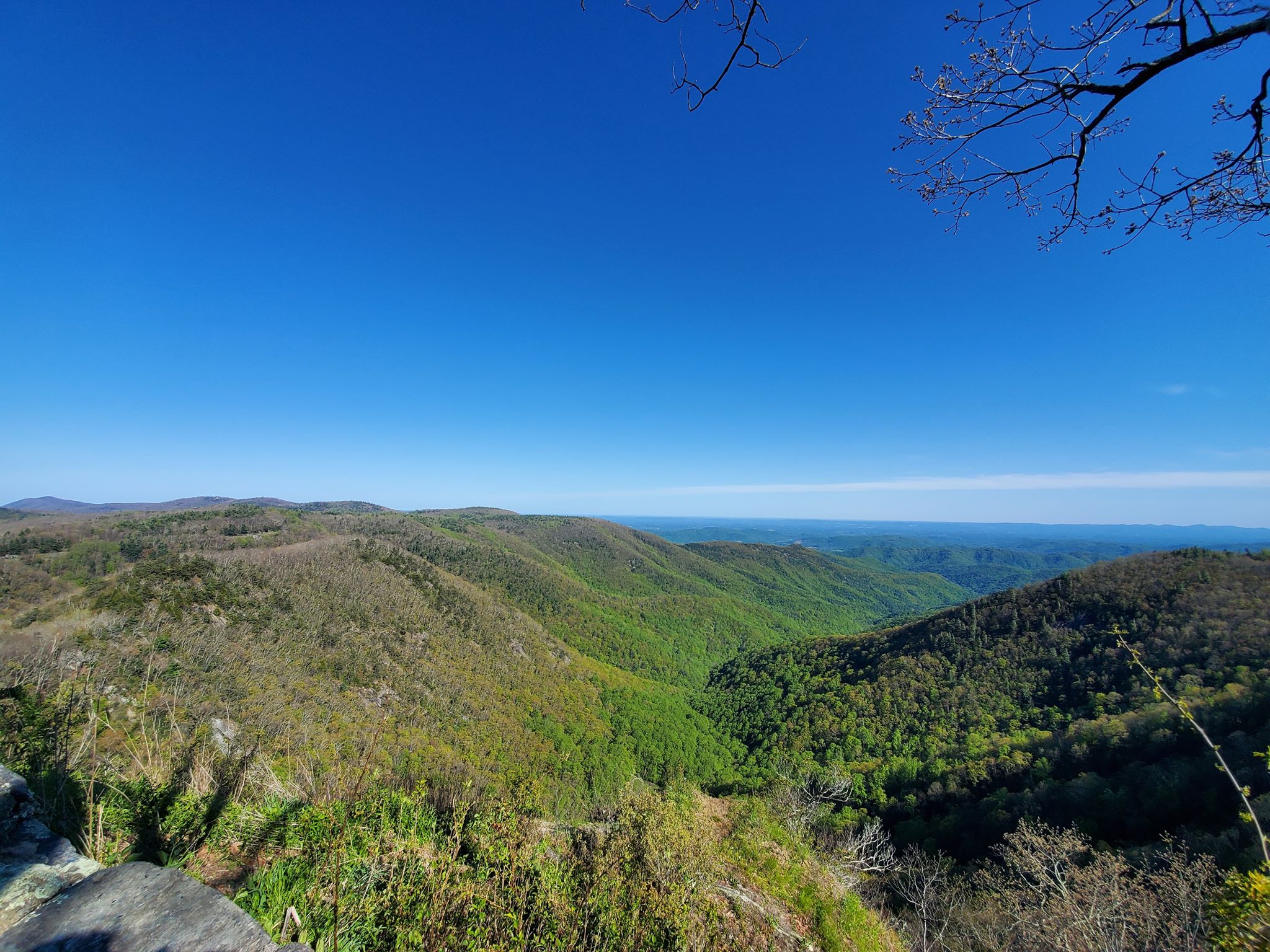 Blue Ridge Parkway (Doughton Park area) (OC) 2048 x 1536 May 2020 A big
