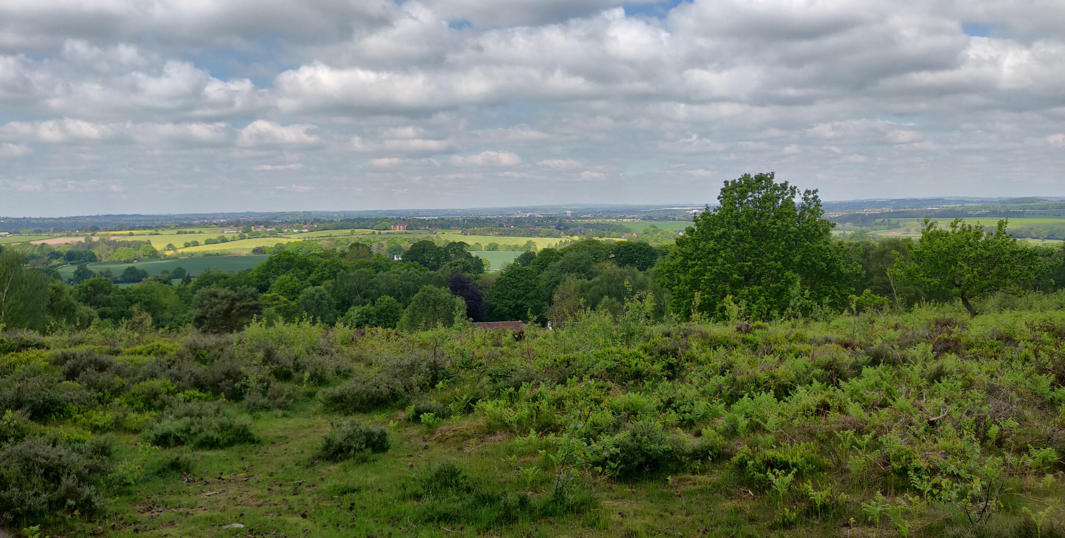 Cannock Chase r/CasualUK