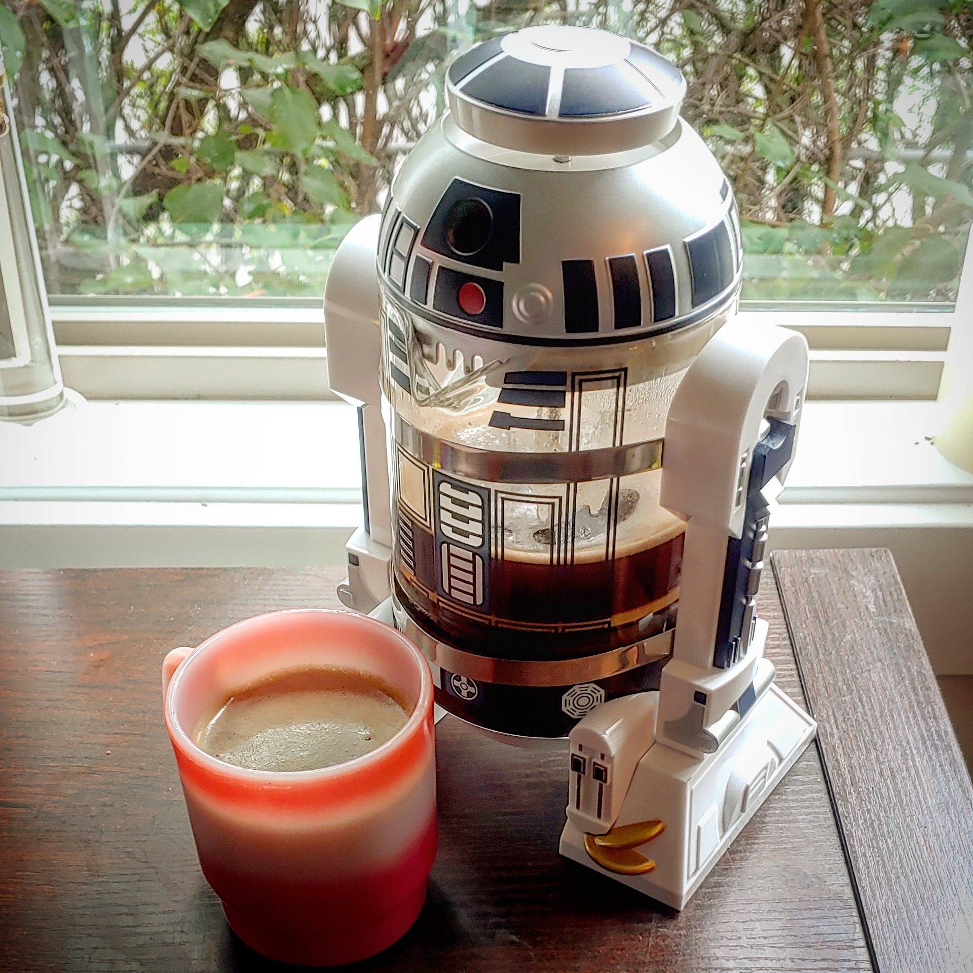 I got a brandnew R2D2 French press for 4 at GW and a cool vintage