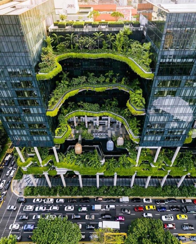 Beautiful green gardens between these buildings r/oddlysatisfying