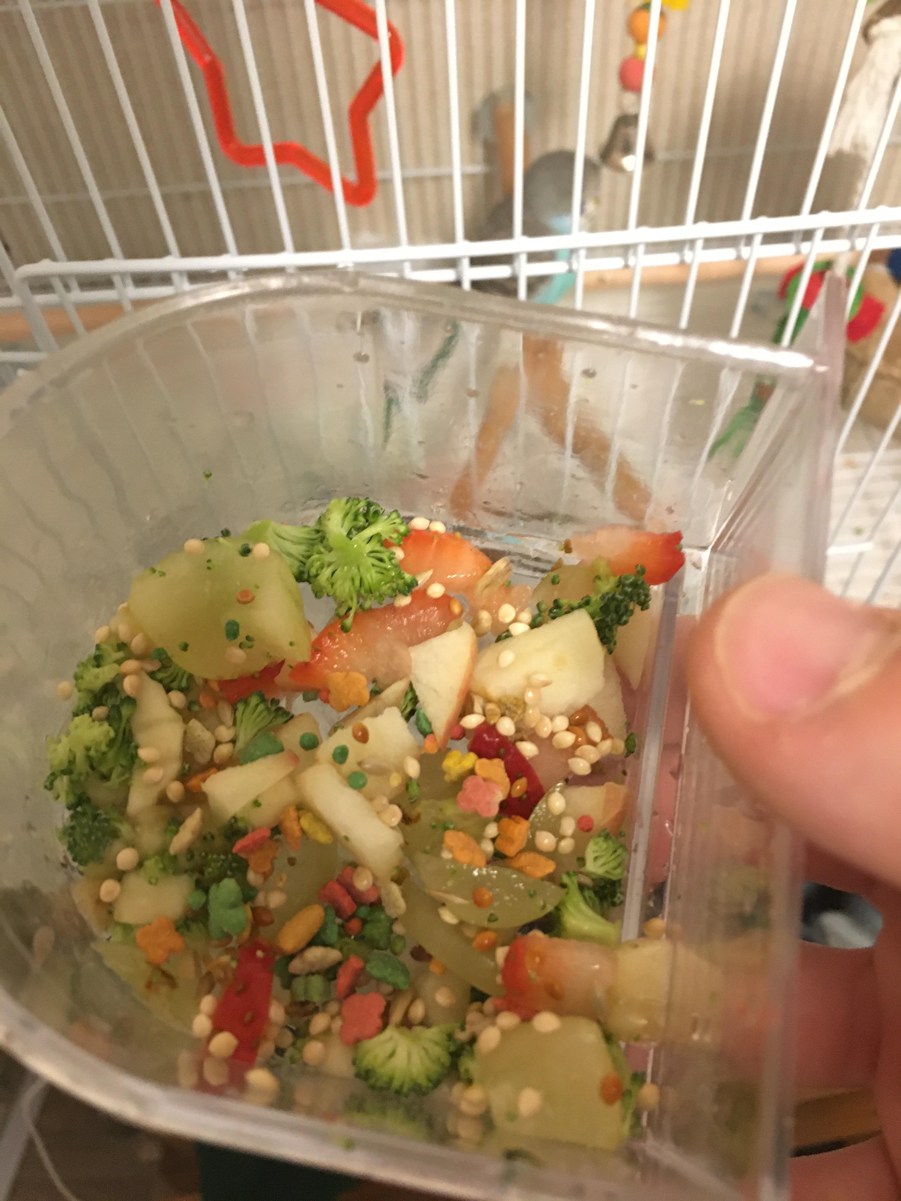 I can’t get my baby budgie to eat her fruits and veggies. (I’ve tried banana, apple, broccoli