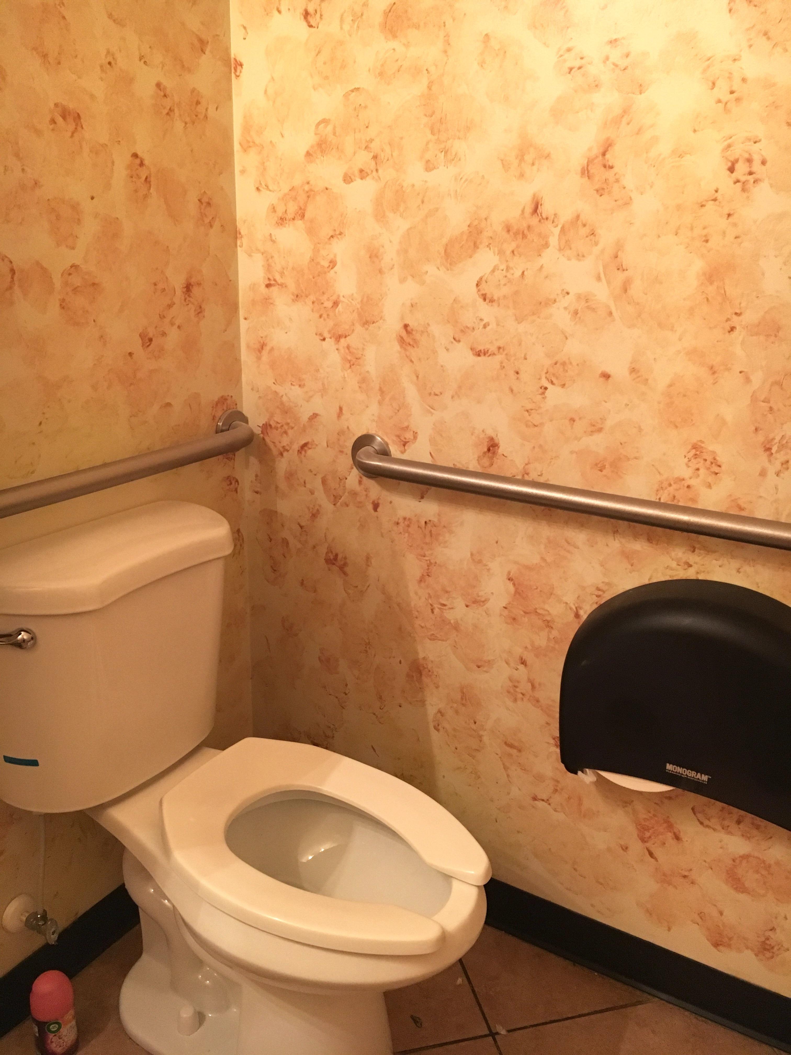 An artful paint job in this restroom r/CrappyDesign