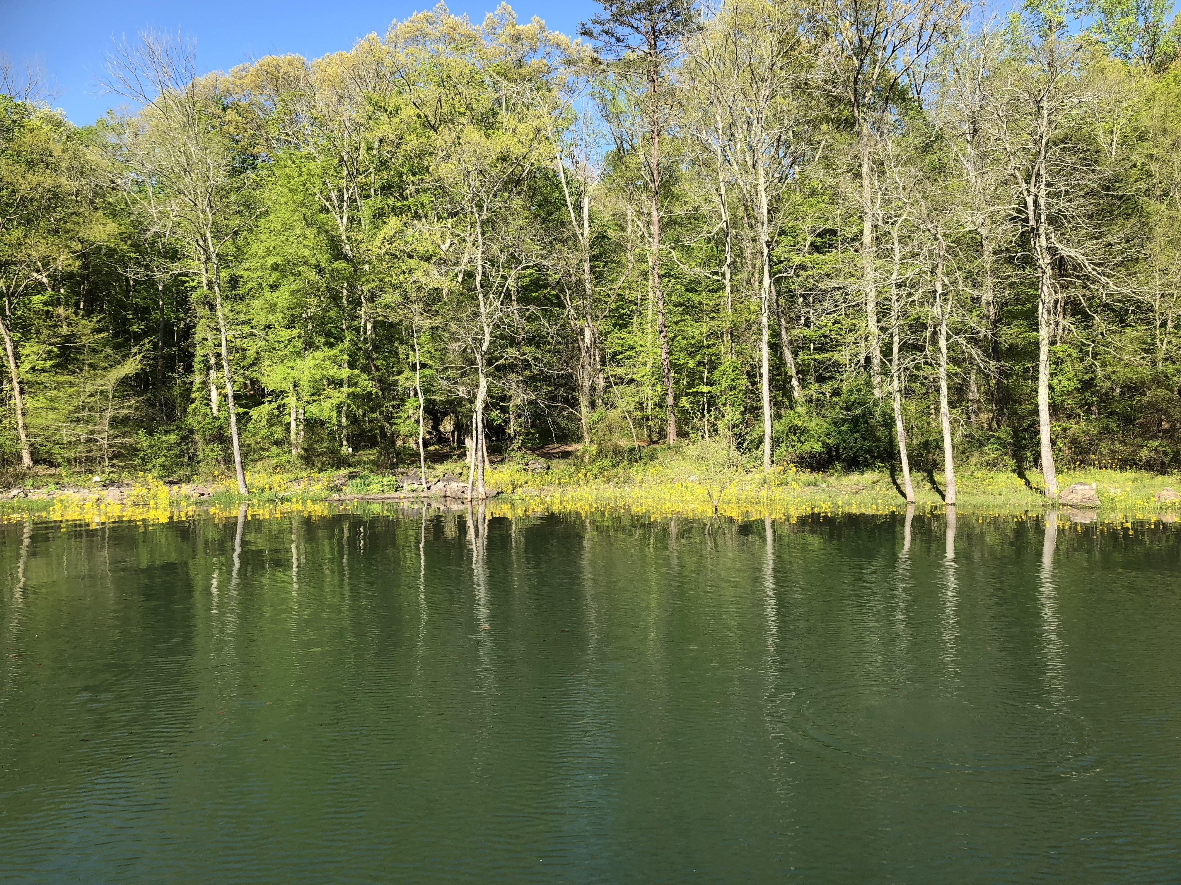 Norris Lake r/Knoxville