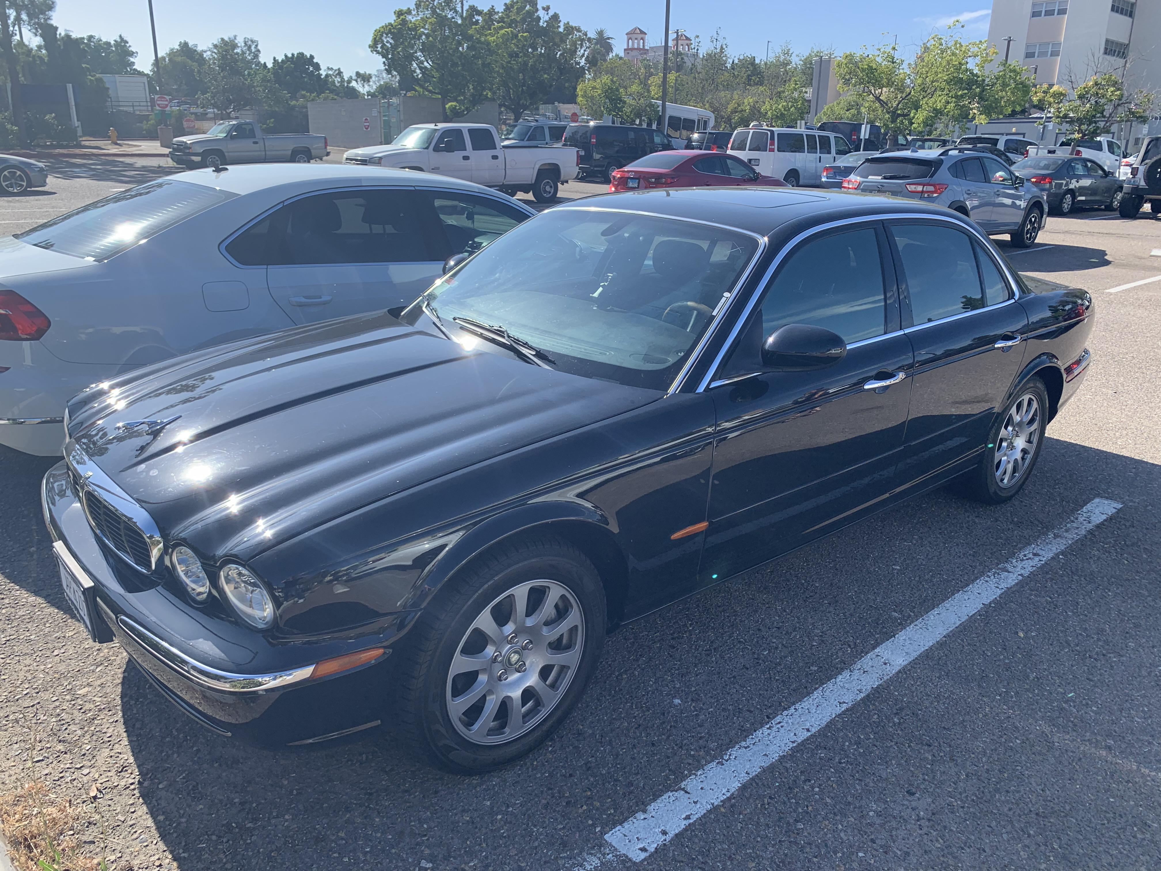 Brought her home on Sunday. Lot of issues but still in love. Beautiful