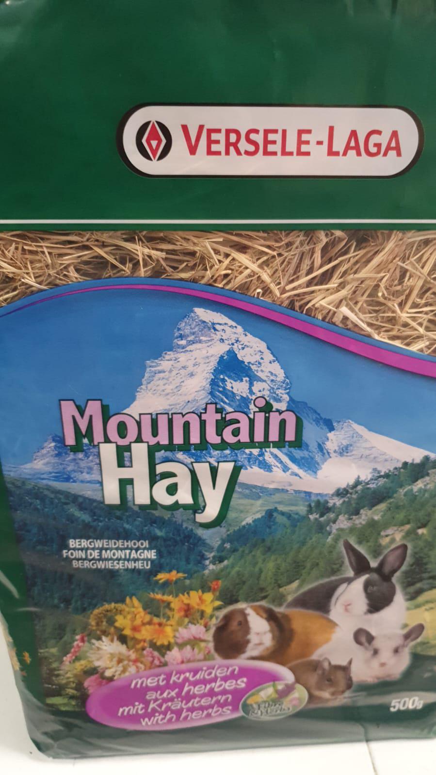 is this hay okay for hamsters? r/hamstercare