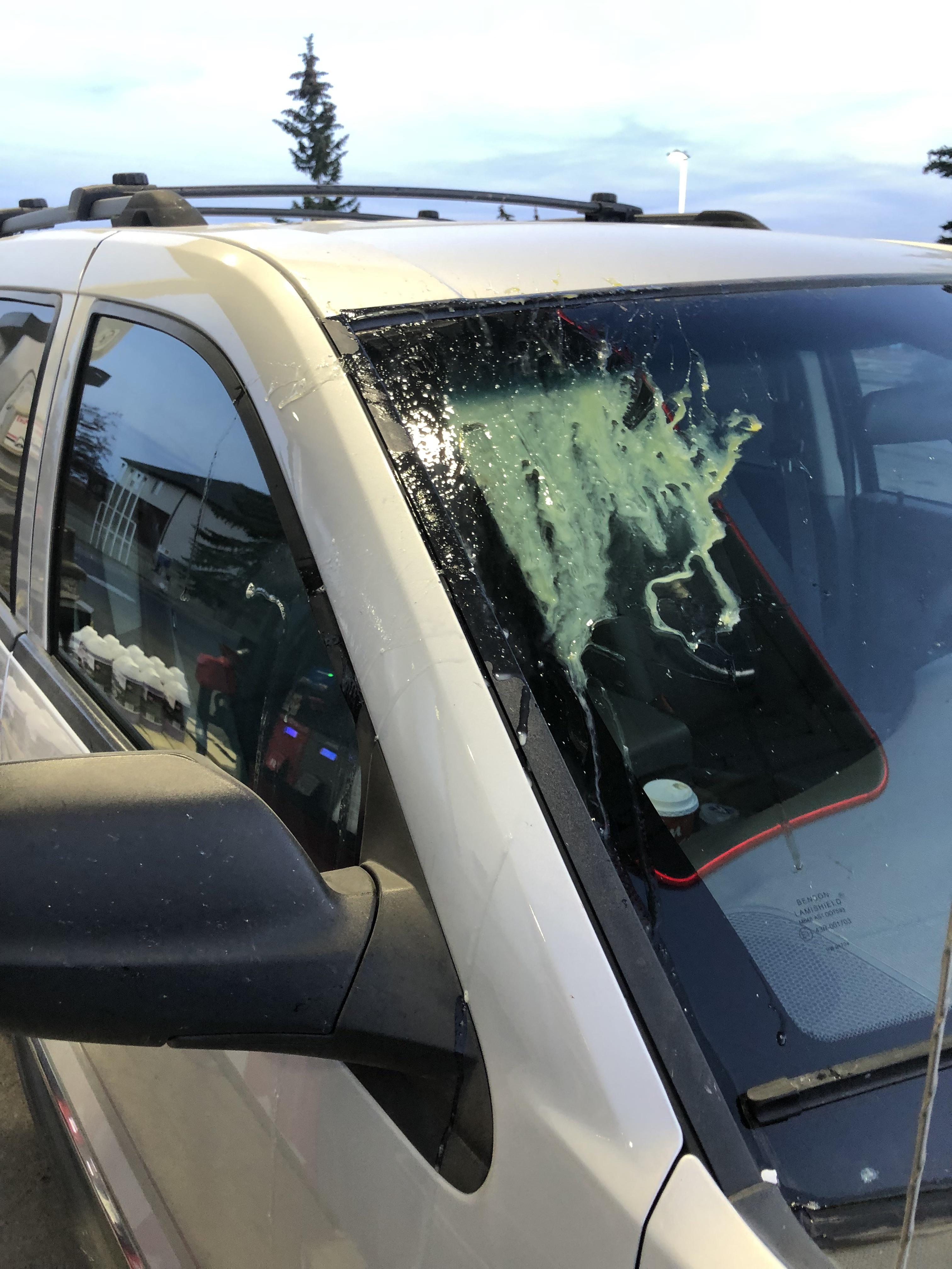 Anyone else pelted on Country Hills Blvd. by kids throwing eggs at cars