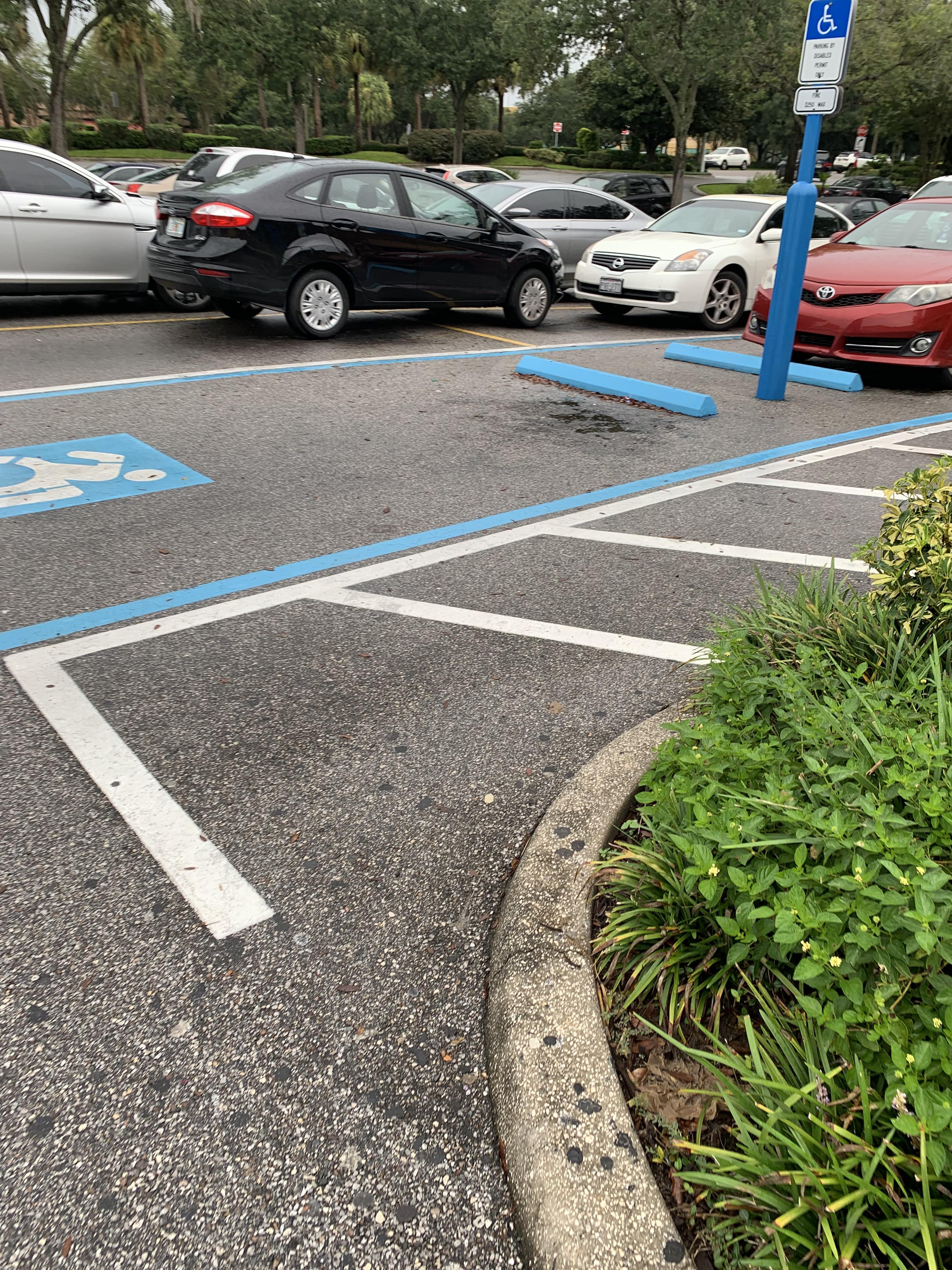 This parking job r/PeopleBeingJerks