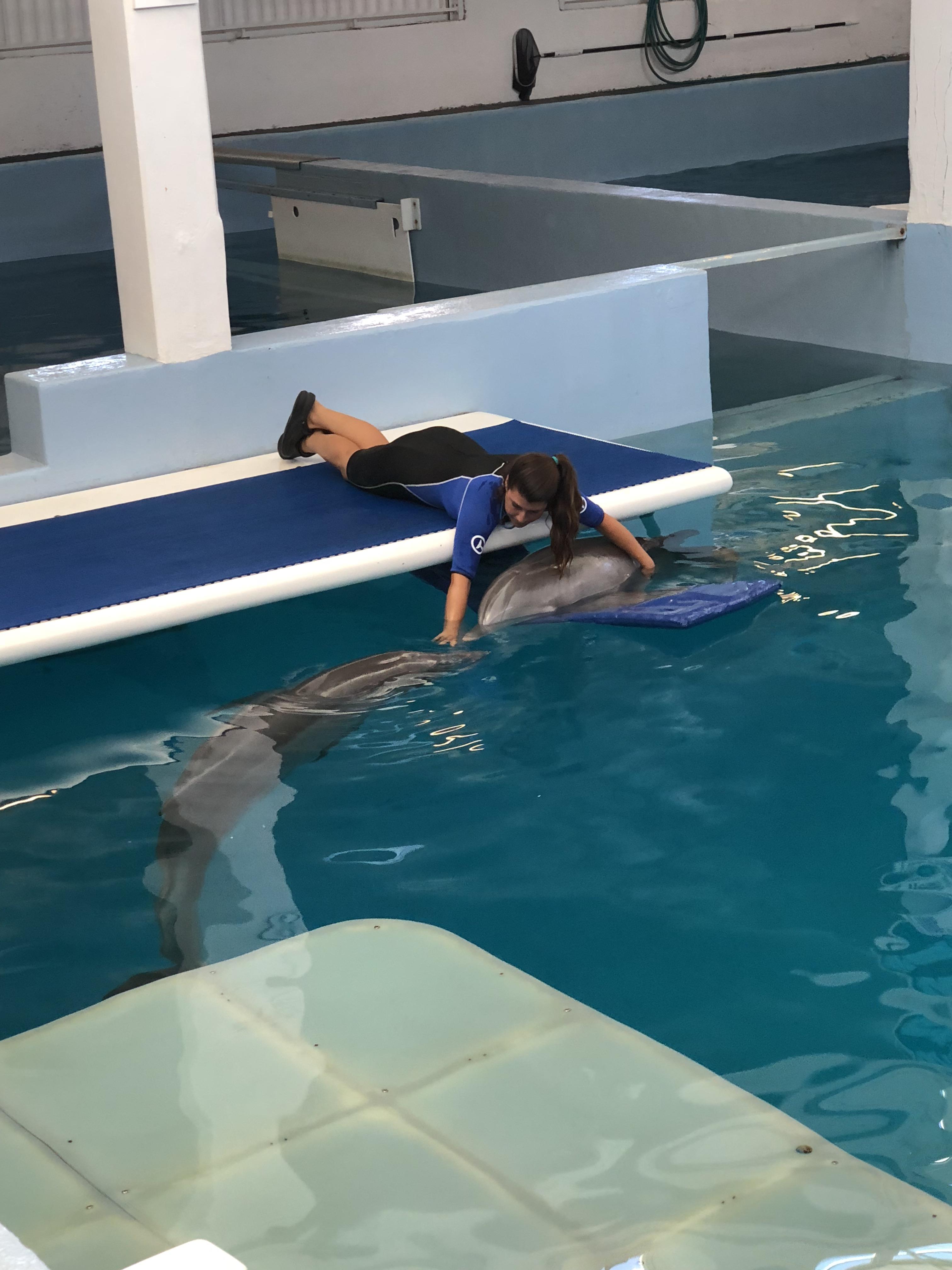Winter at the Clearwater aquarium! r/Aquariums