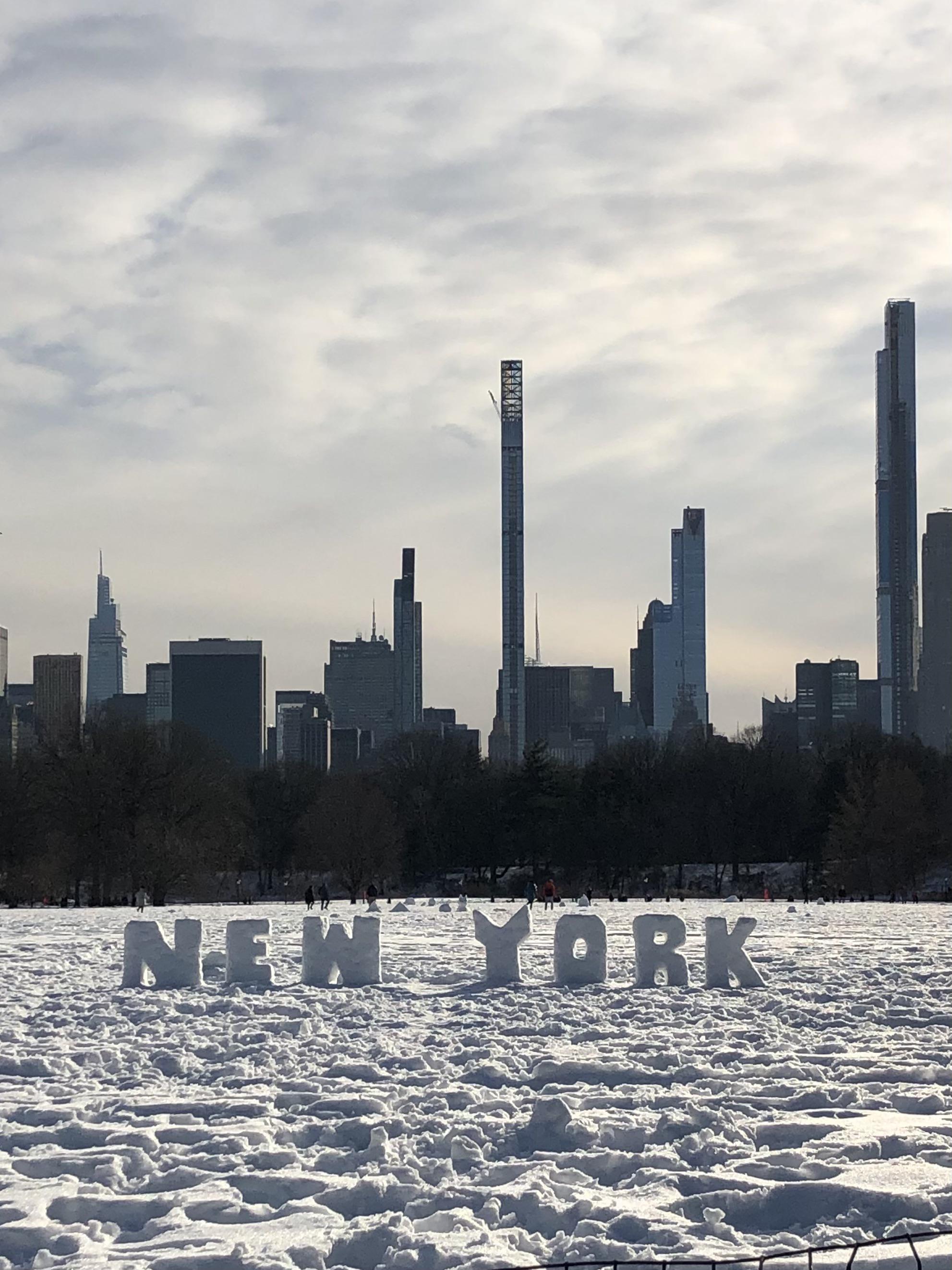 NYC Central Park snow sign and skyline. Snowstorm 2020 r/pics
