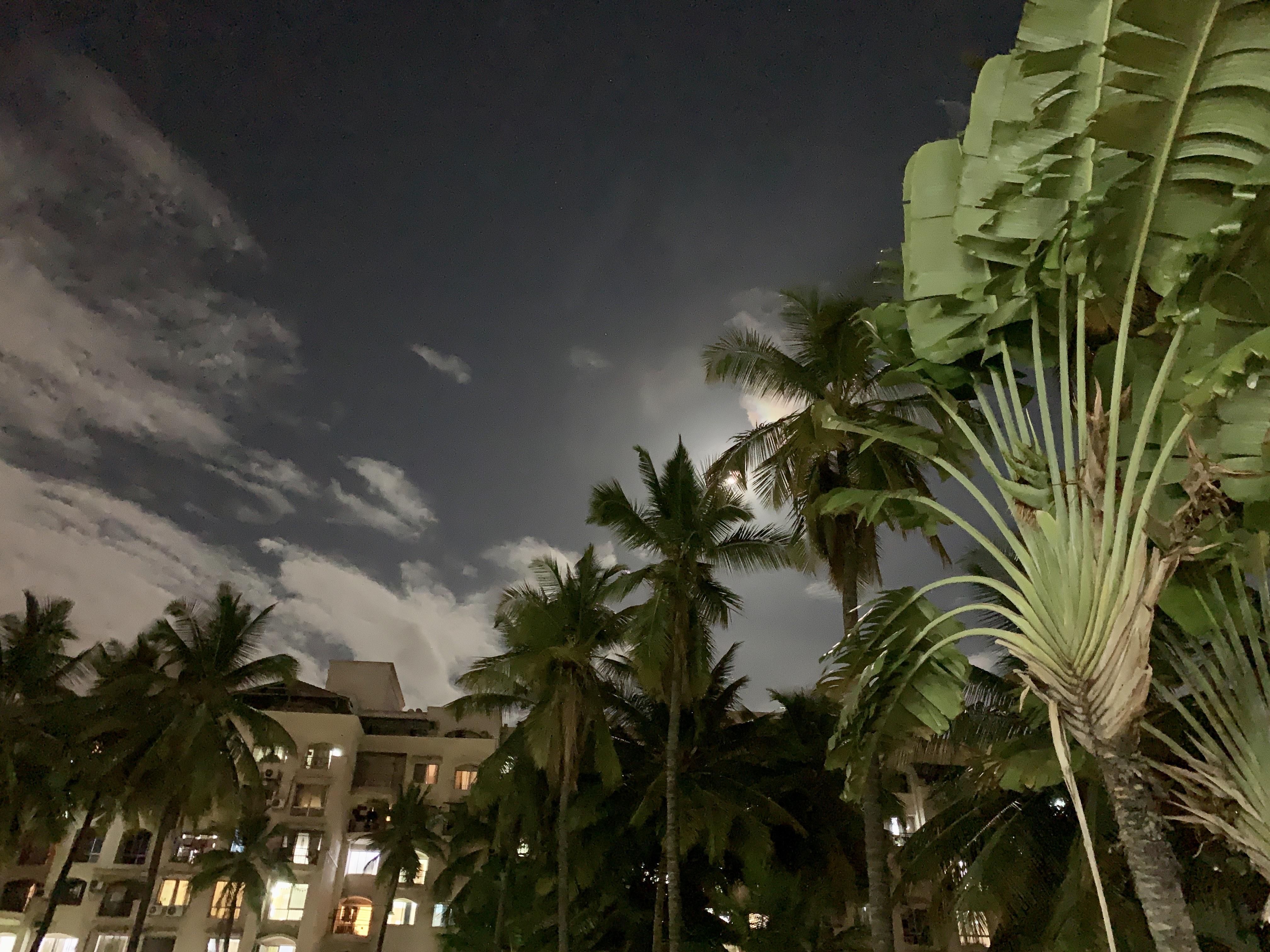 XR doesn’t disappoint with the night photography! r/iPhoneXR