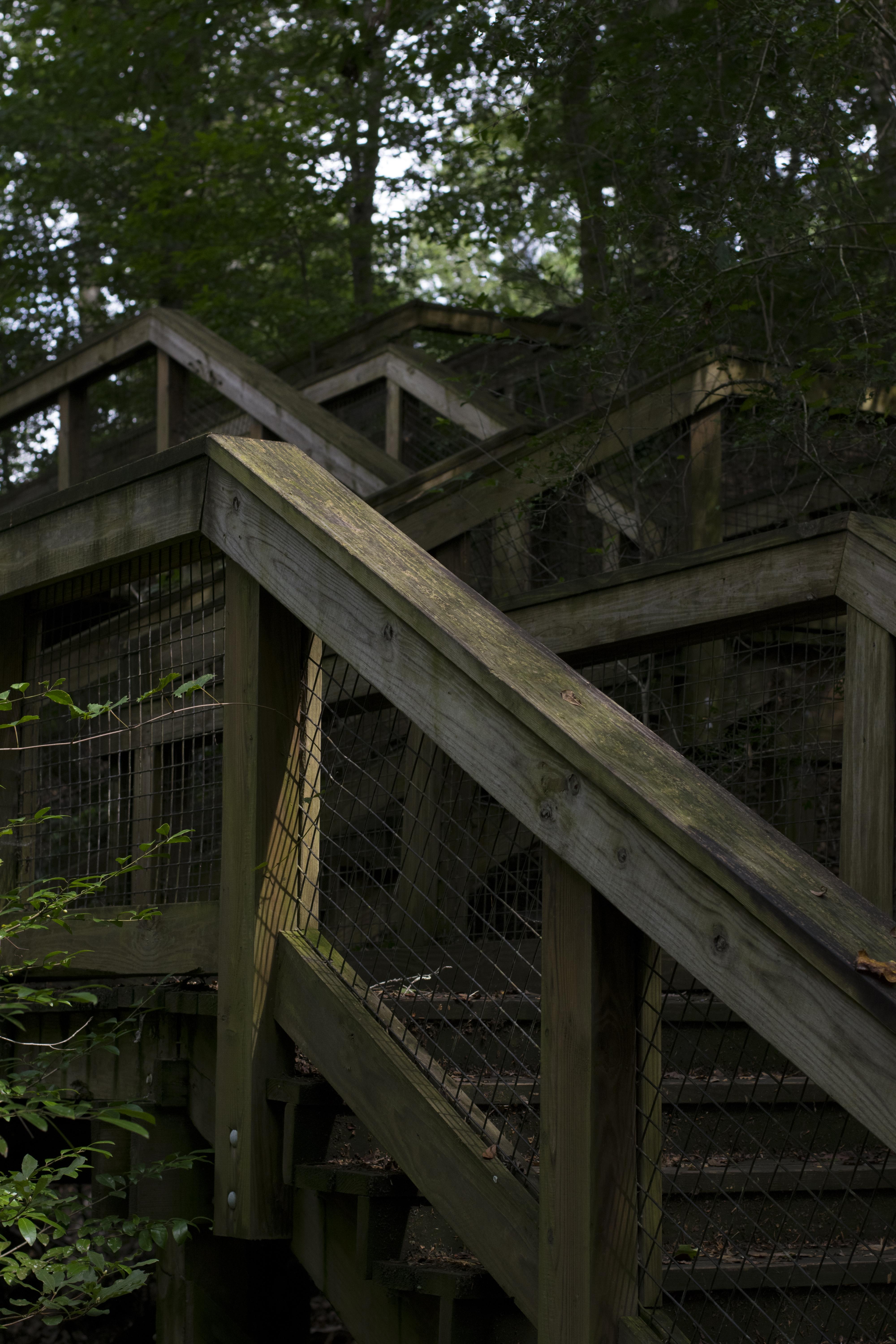 Deep in the woods of Louisiana, near a bayou, I found 4 sets of