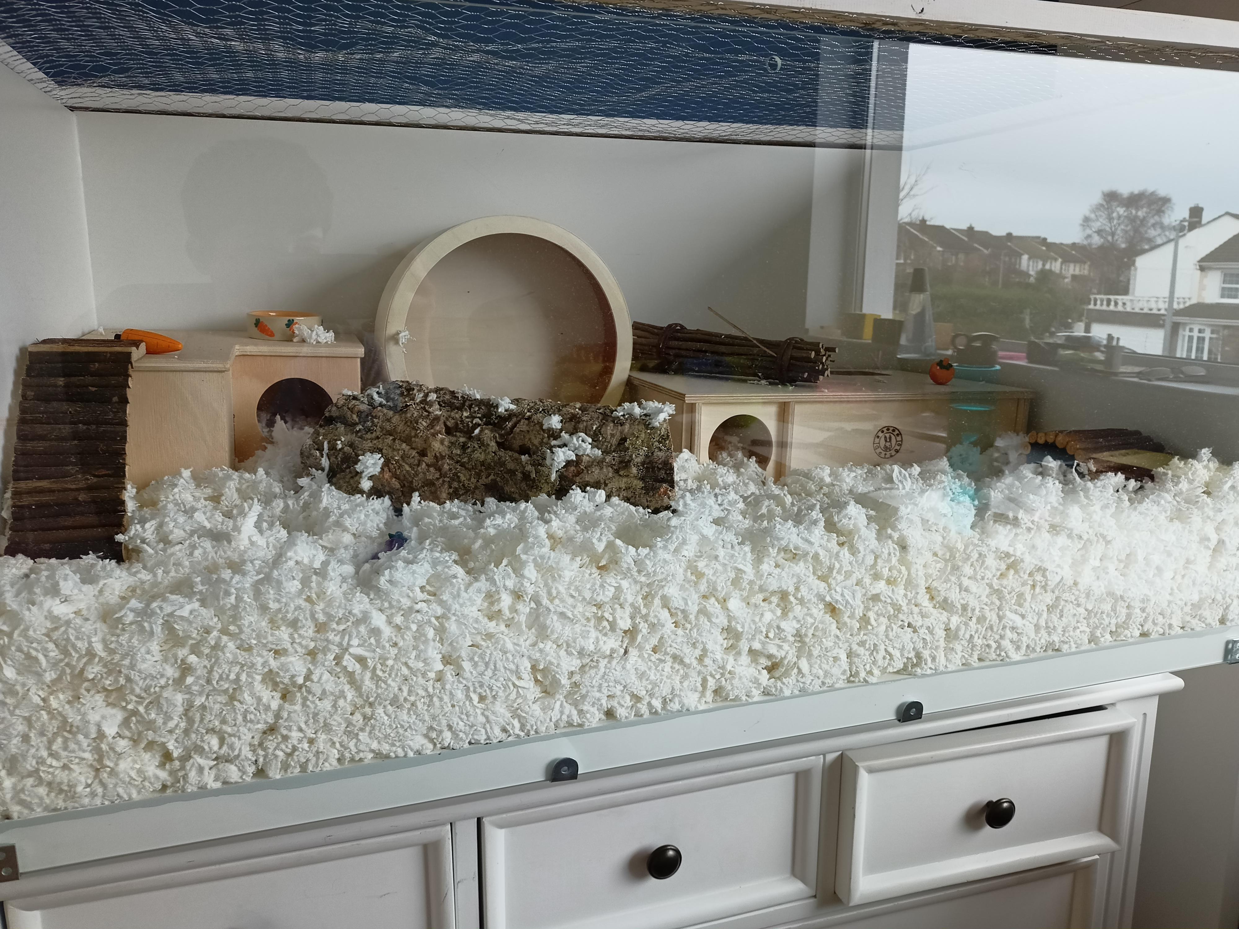 First hamster set up! 877 sqi, sand bath and grapevine wood coming soon