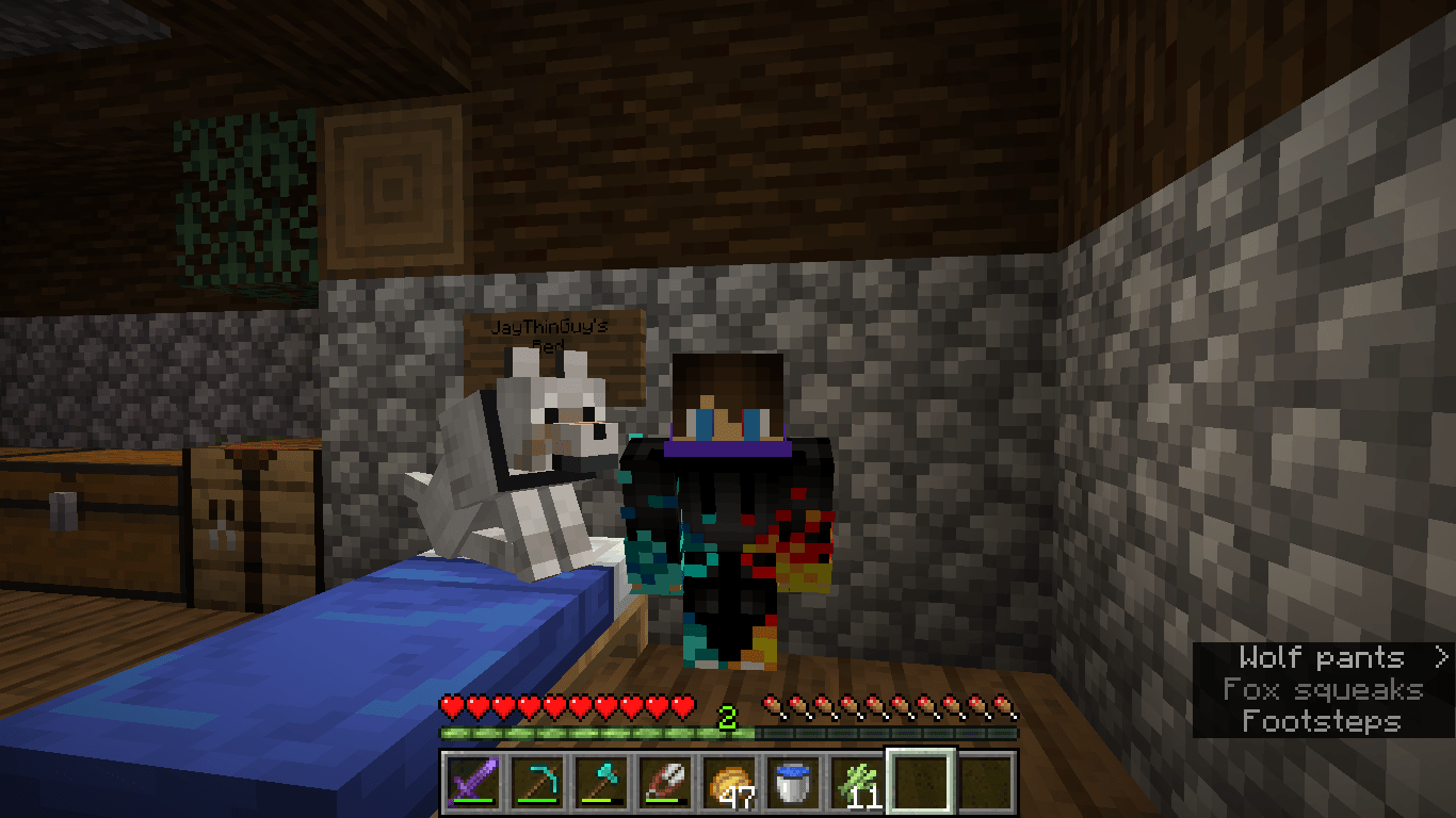 My minecraft dog died yesterday to a creeper. This is the only photo i