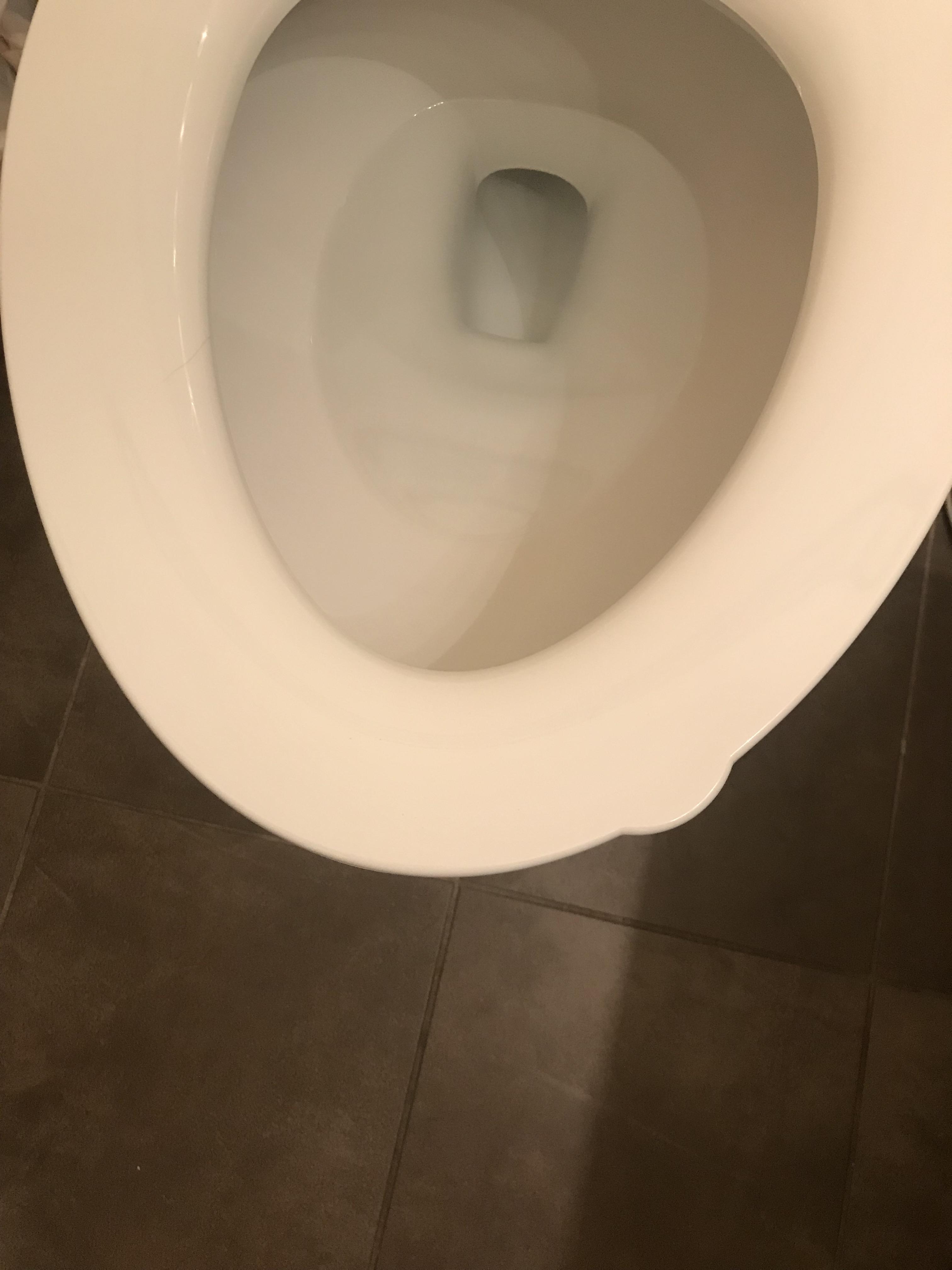This slight lip on the toilet seat that allows you to lift the seat