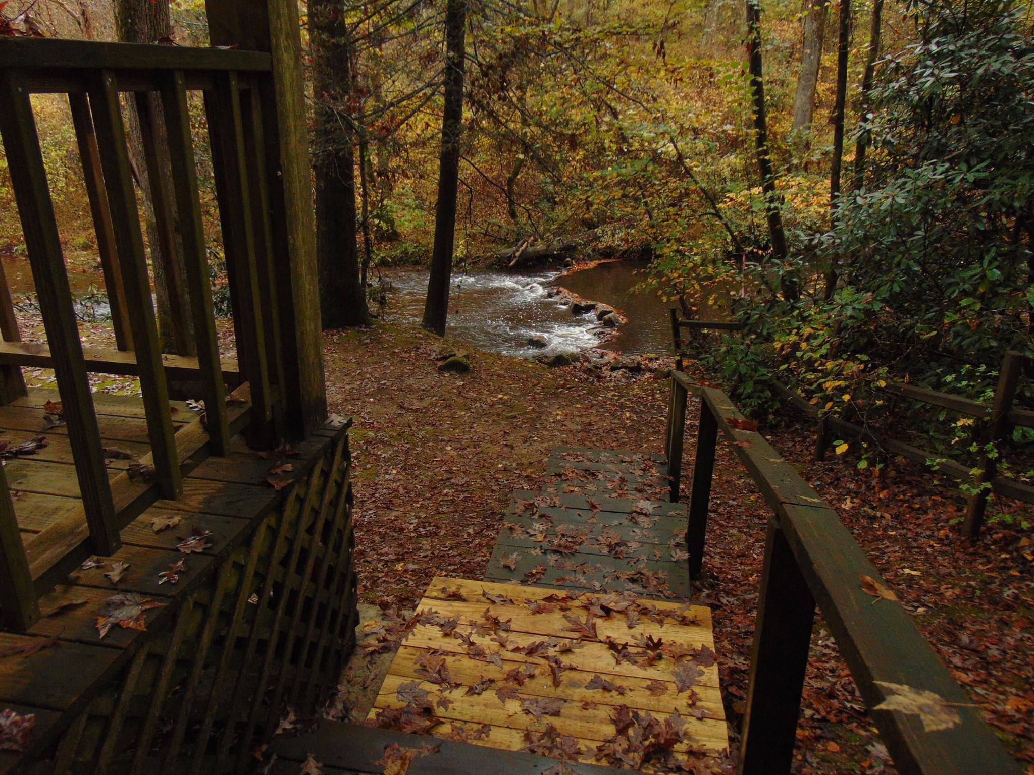 View from the back patio of a rental cabin my family and I stayed in