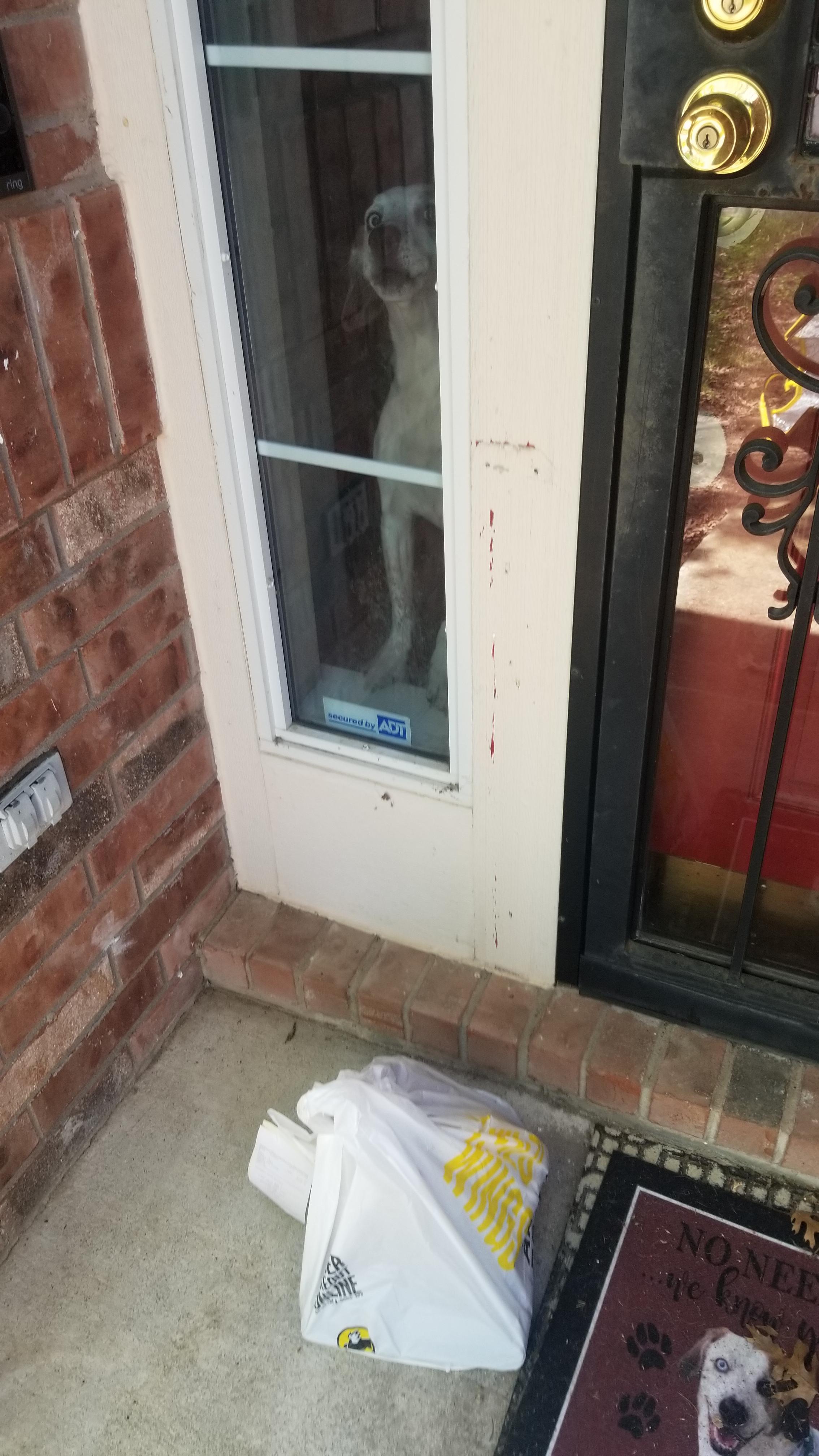 Even the dog was like "just drop it and leave" r/doordash