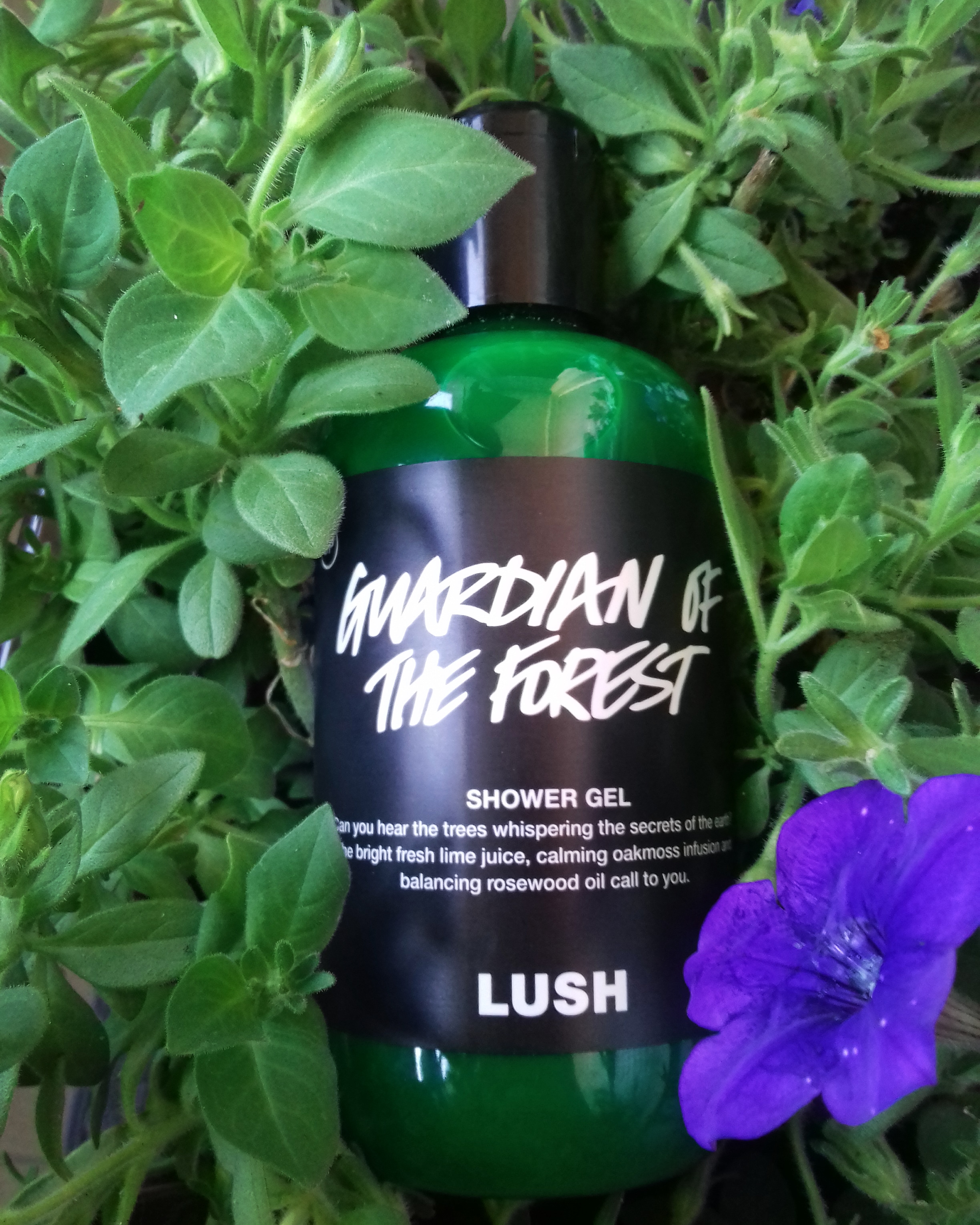 Guardian of the forest SG is essentially forest in the bottle, makes me feel like an Ent r