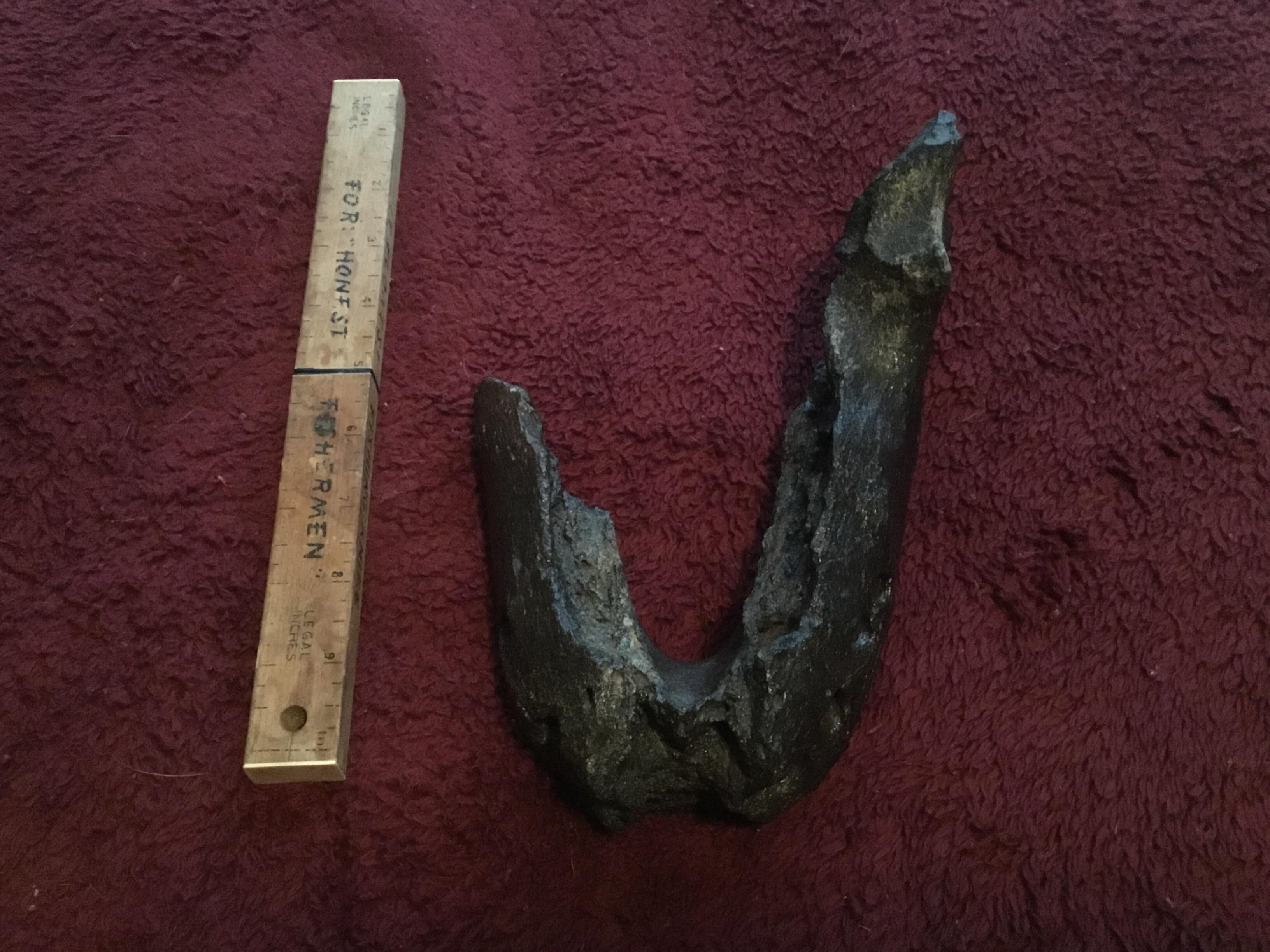 143 best Peace River images on Pholder Pics, Fossilid and Earth Porn