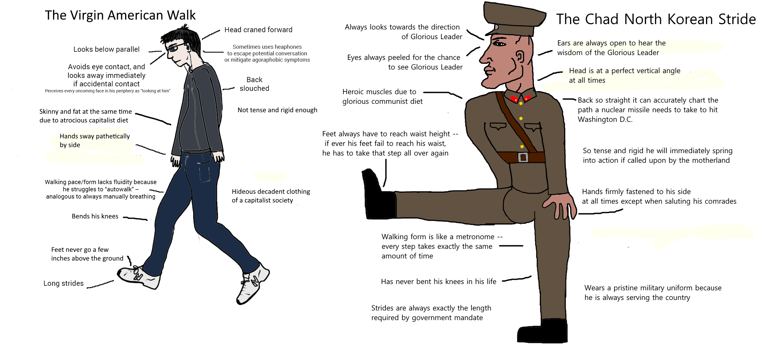The Virgin American Walk vs. the Chad North Korean Stride r/virginvschad