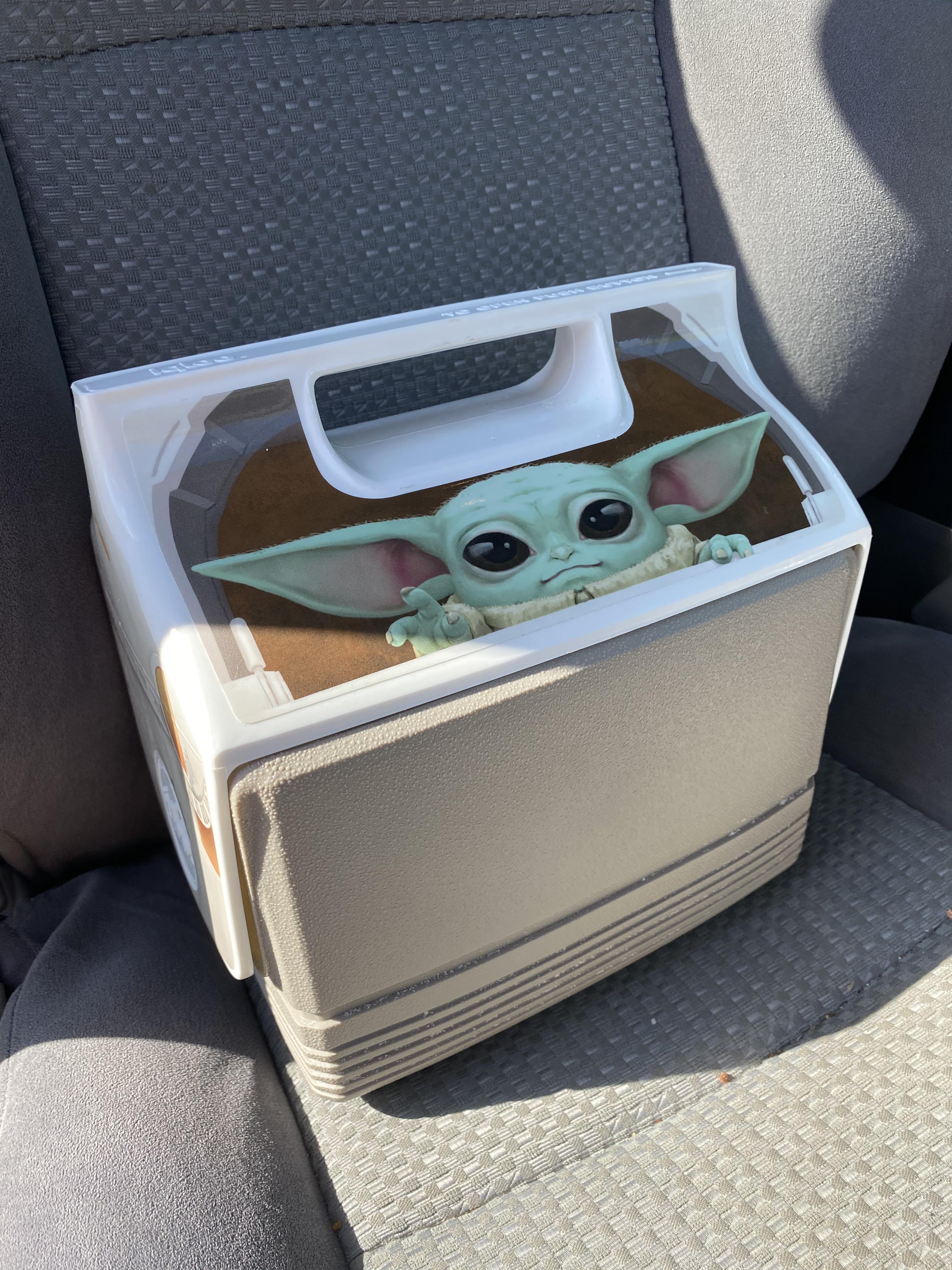 This is the way. (to carry your lunch to work) r/BabyYoda