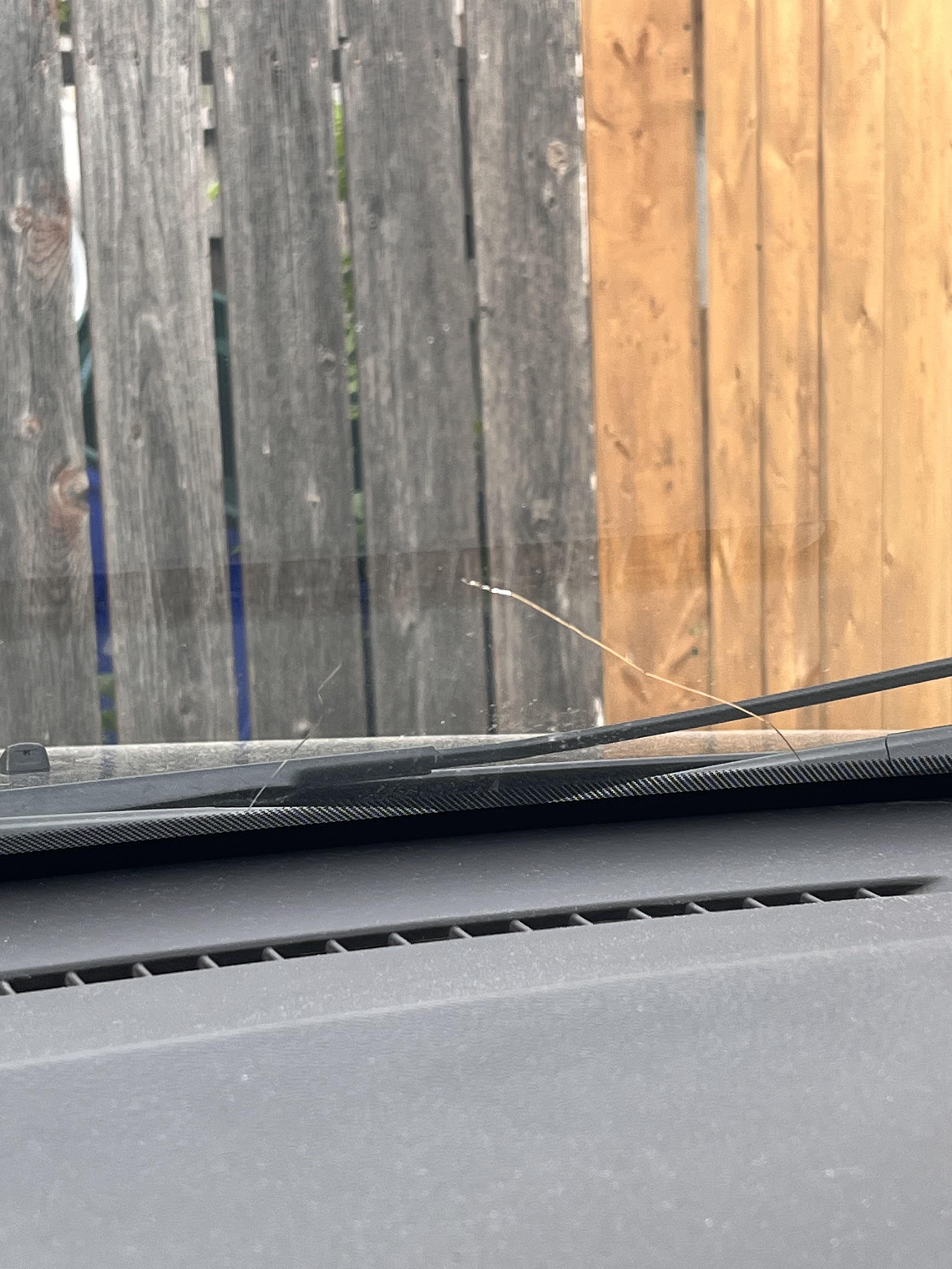 Windshield repair r/Winnipeg