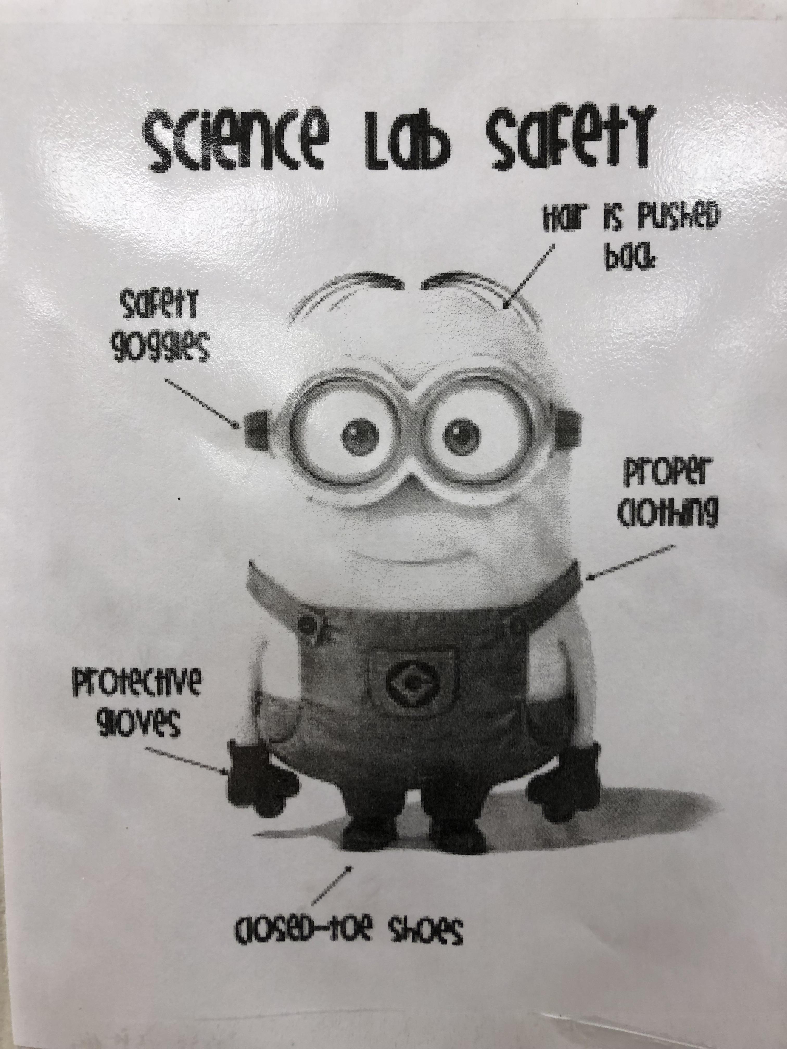 The Minions teach lab safety! (xposted from r/FellowKids) r/MinionHate
