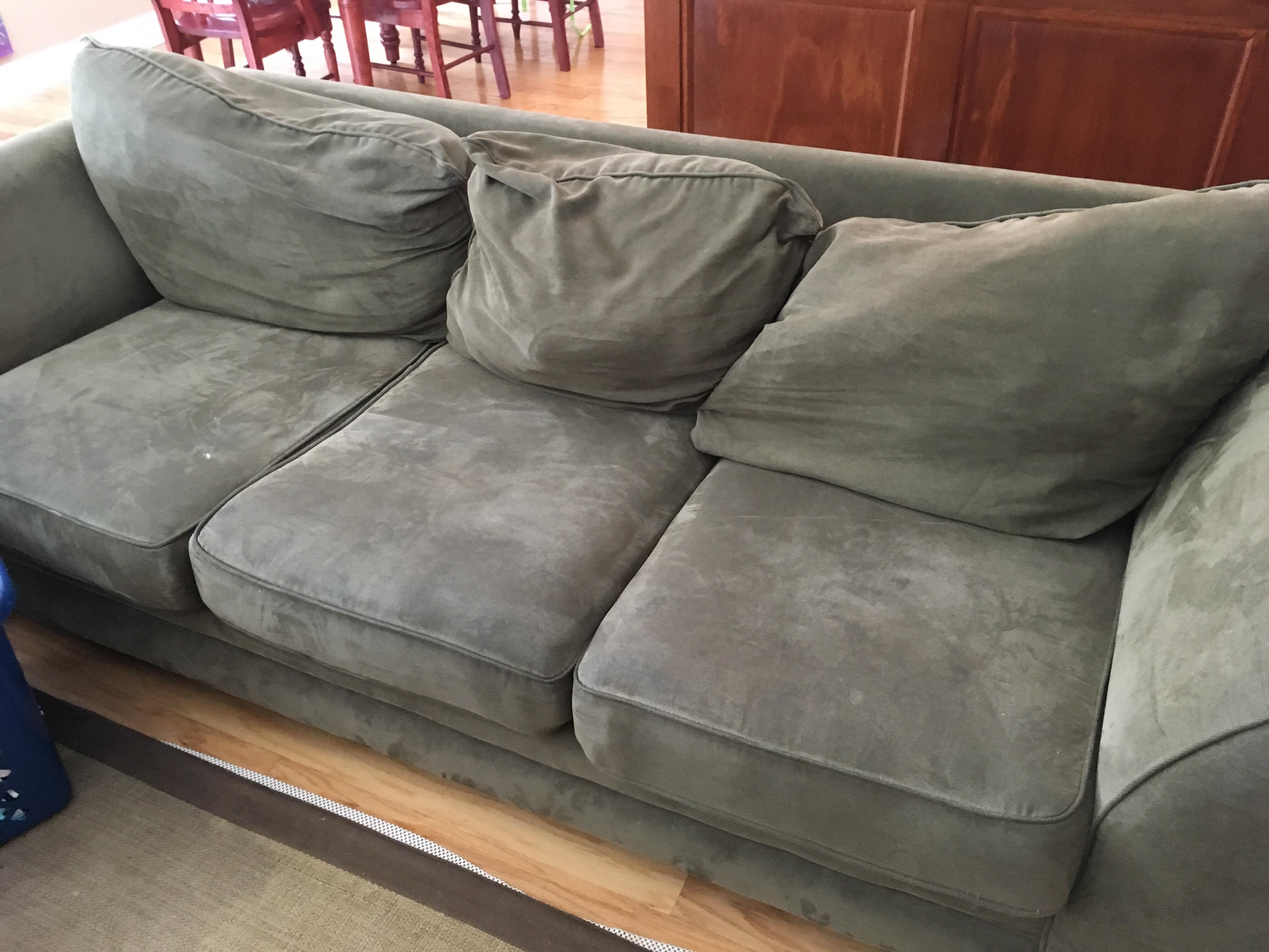 Anyone want a couch? North Tampa r/tampa