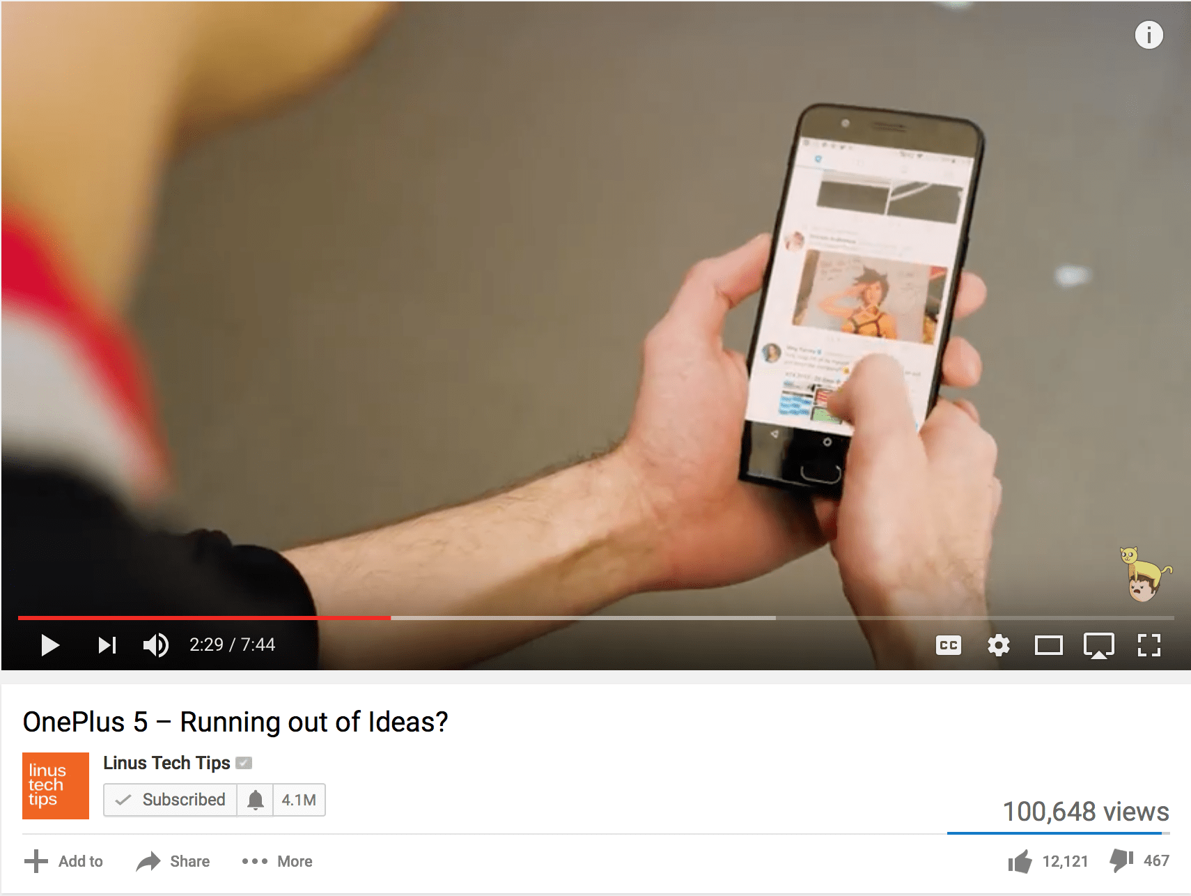 A Wild Meg Turney Appears! r/Megturney