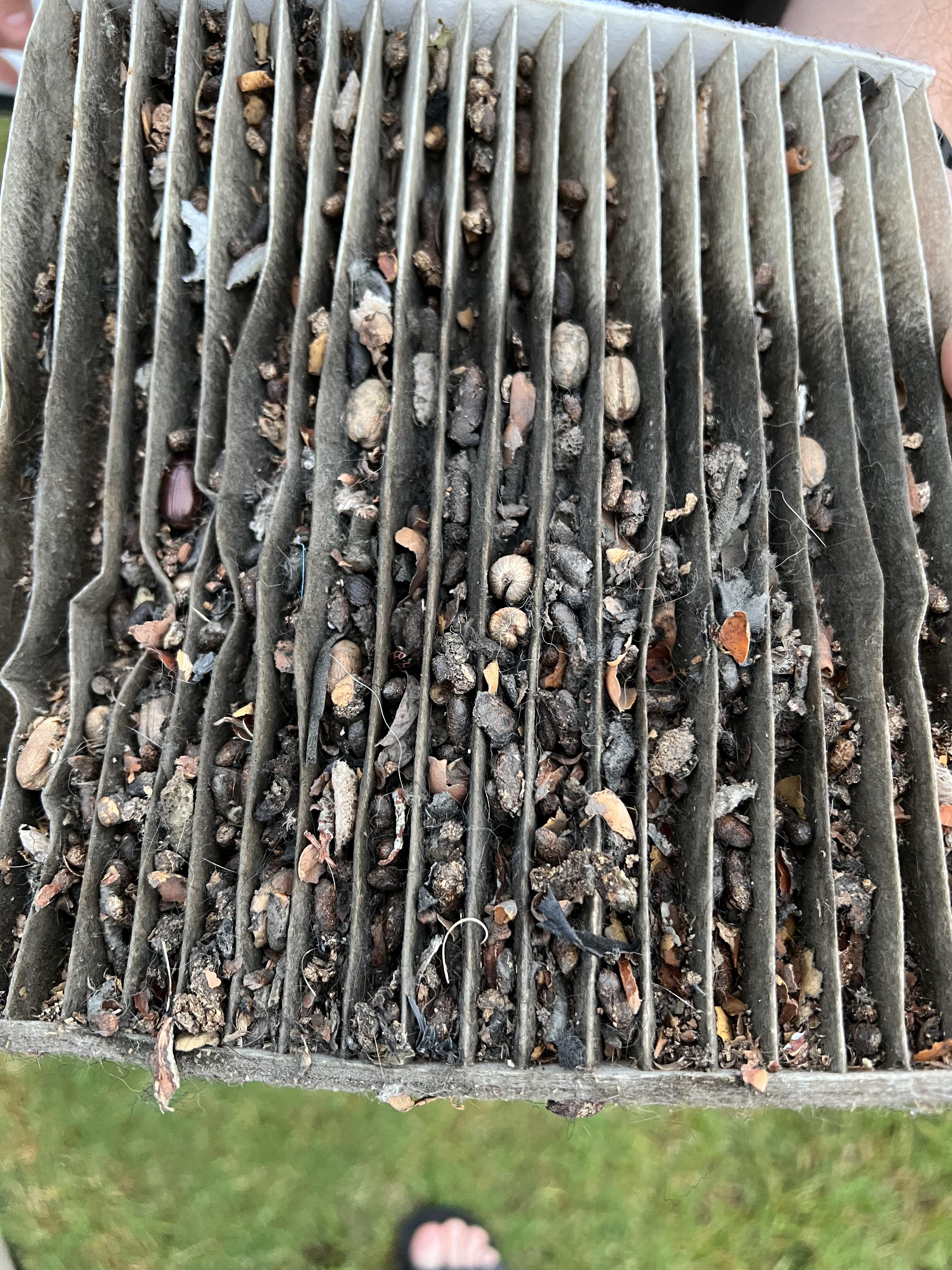 This cabin air filter good? 2019 RAM 1500.. : r/ram_trucks