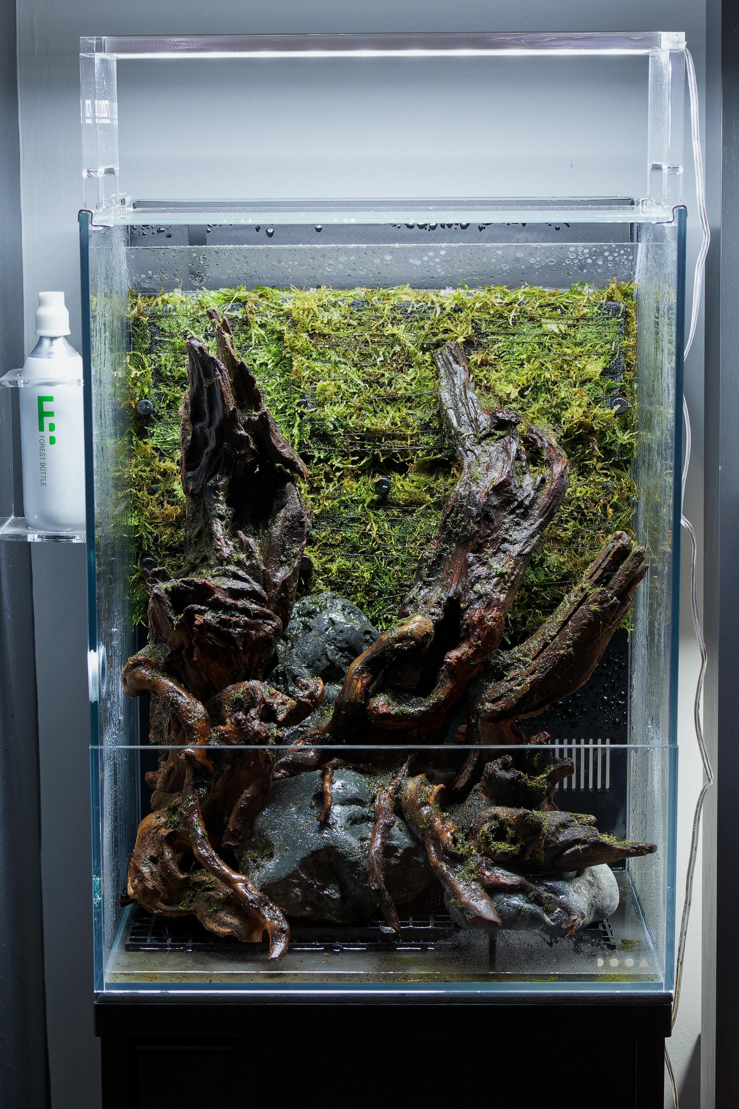 Finally setting up my DOOA terra 30. Made a moss slurry I painted on