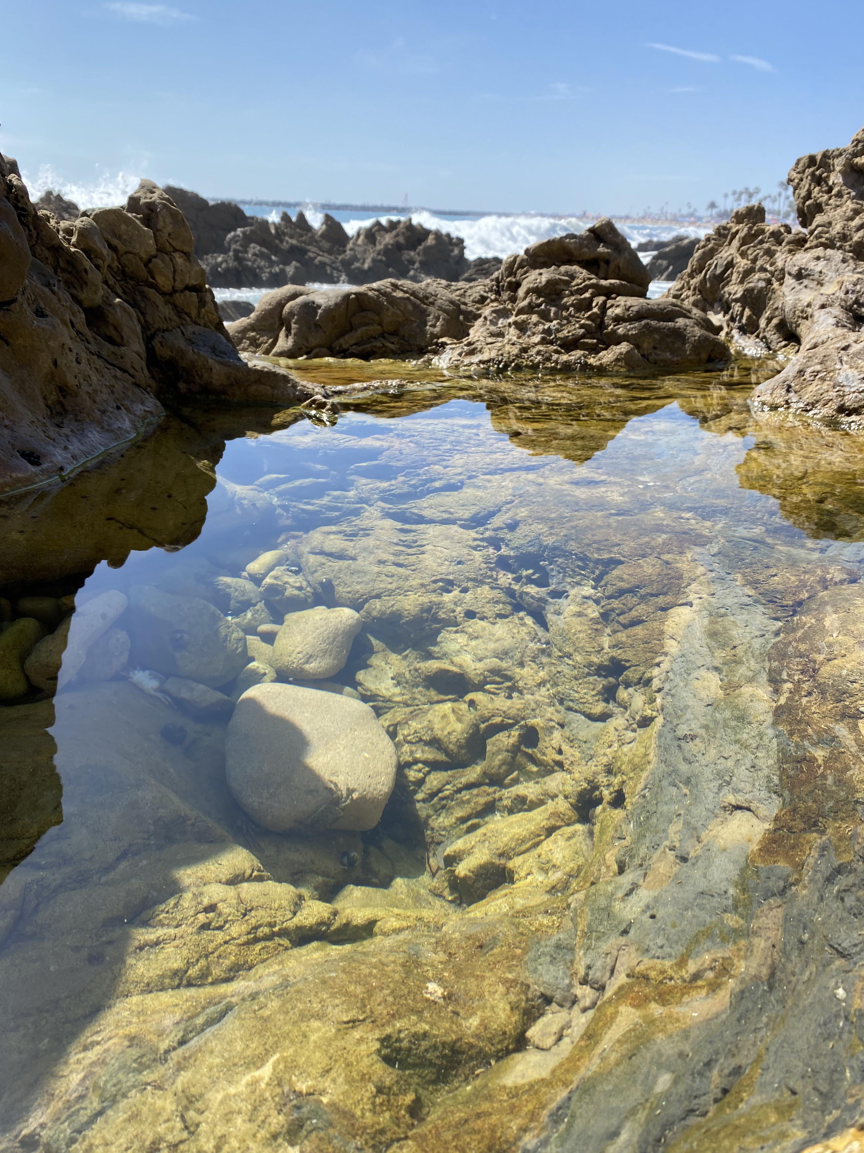 Tide pool at Little Corona del Mar Beach in Corona del Mar, Newport
