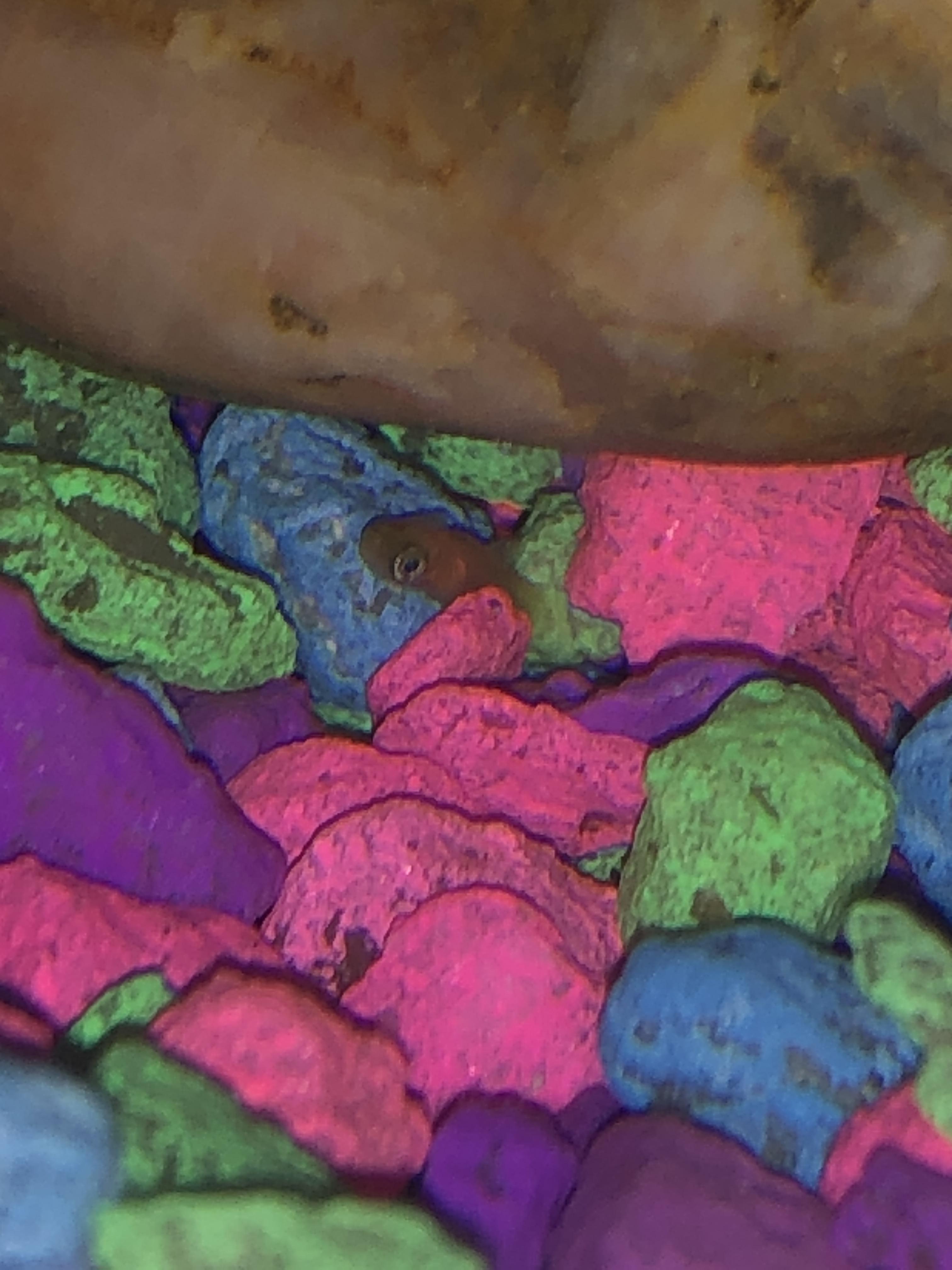 First baby fry 😍 r/fishkeeping