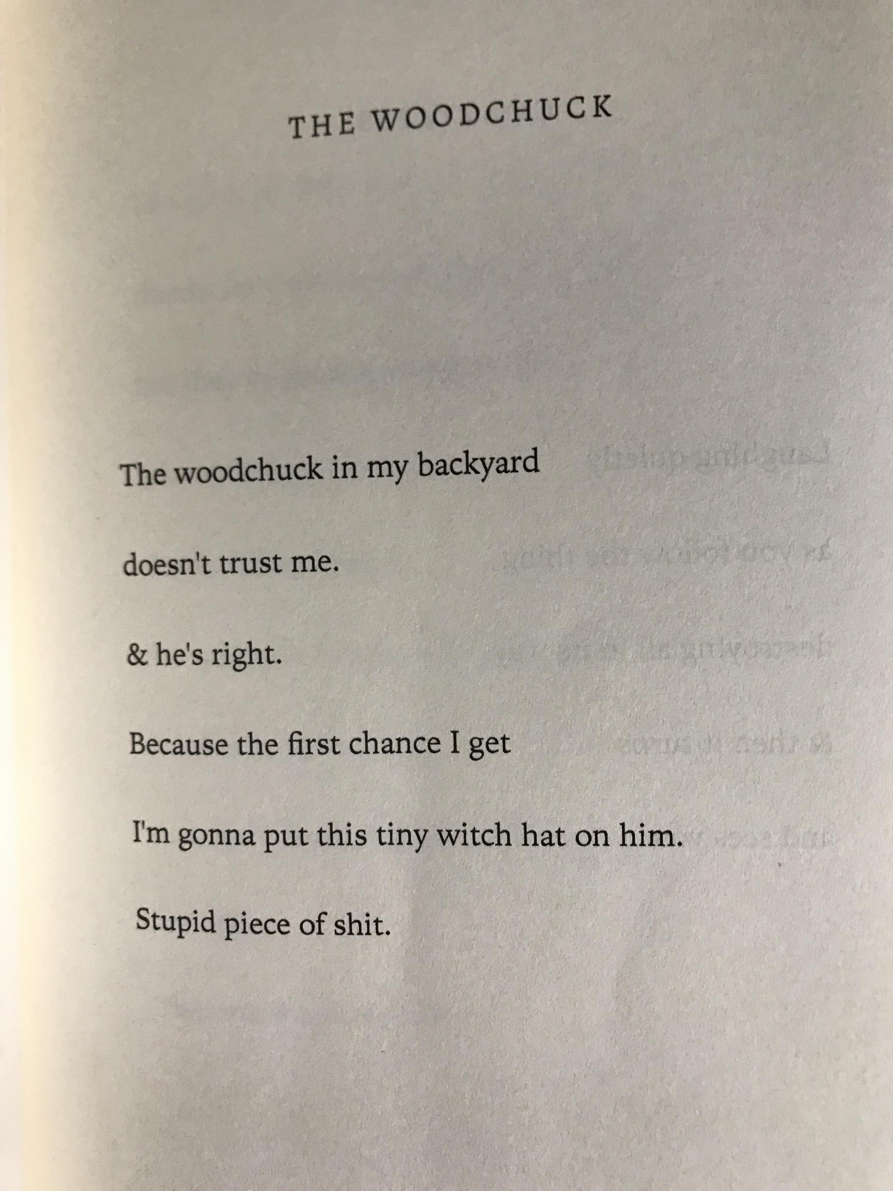 [POEM] “The Woodchuck” by Sam Pink r/Poetry