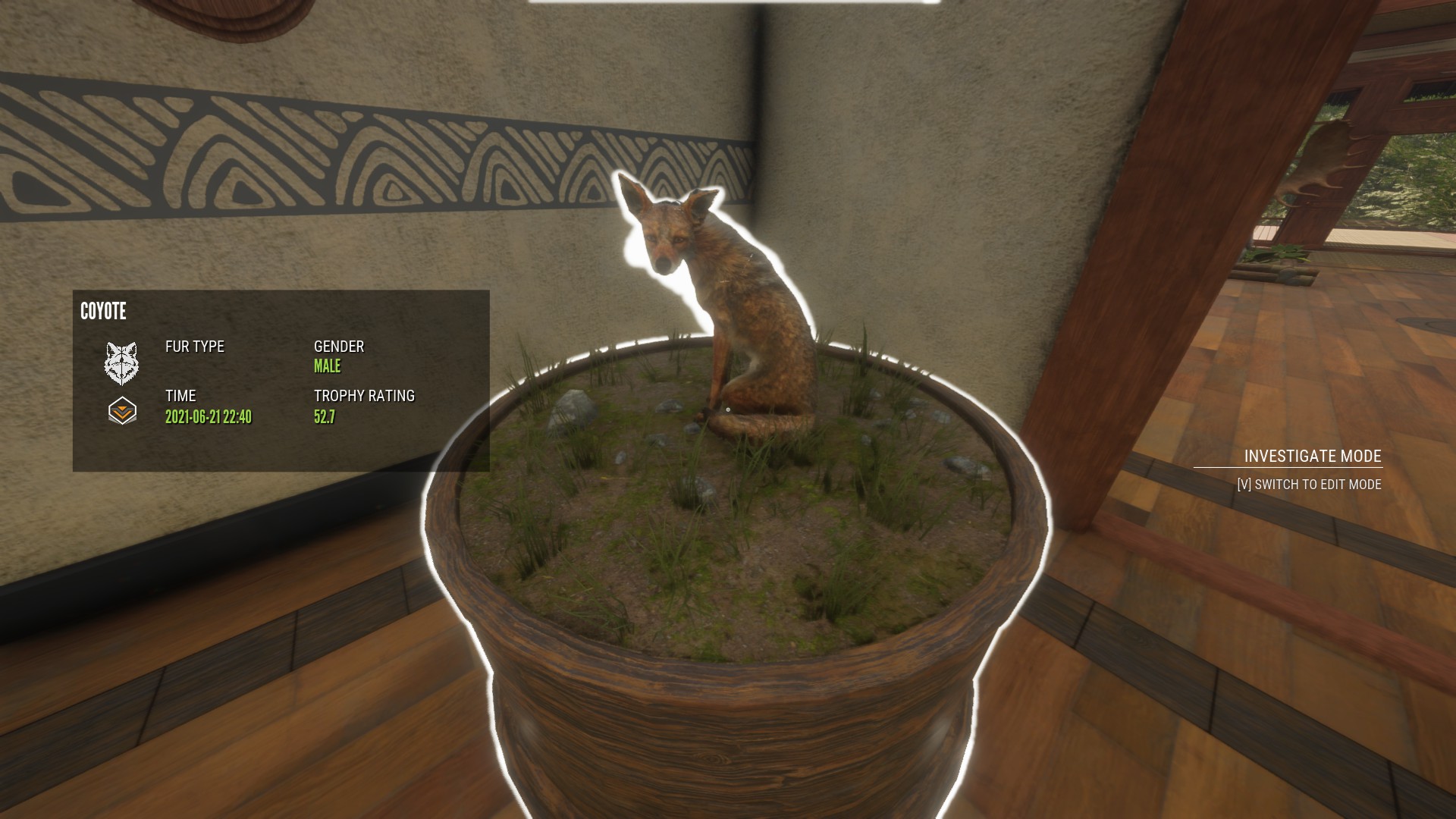 Just noticed this Coyote in my lodge doesn't have a fur type according