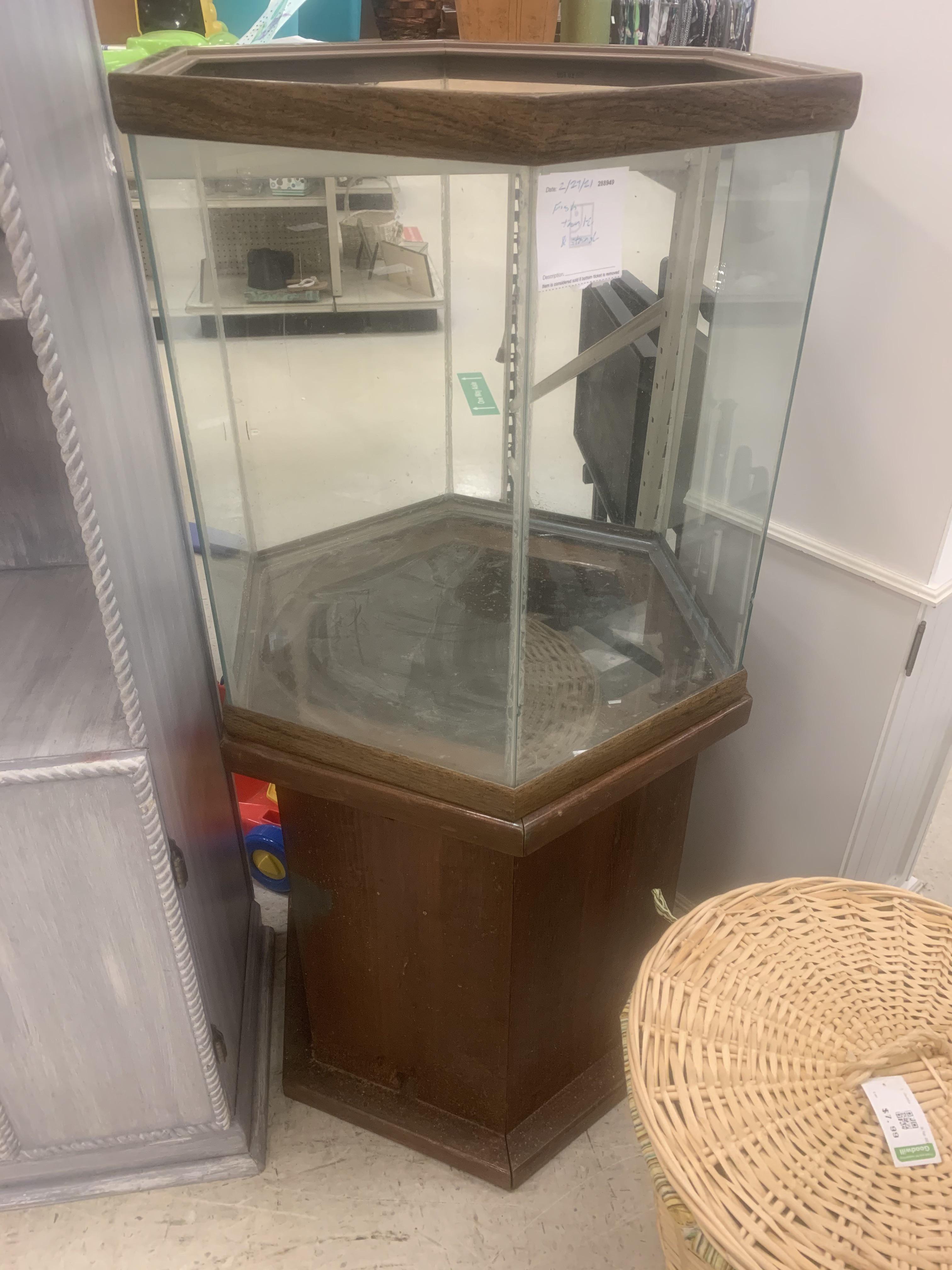 Just found this tank at Goodwill for 30! Decided to go for it, what