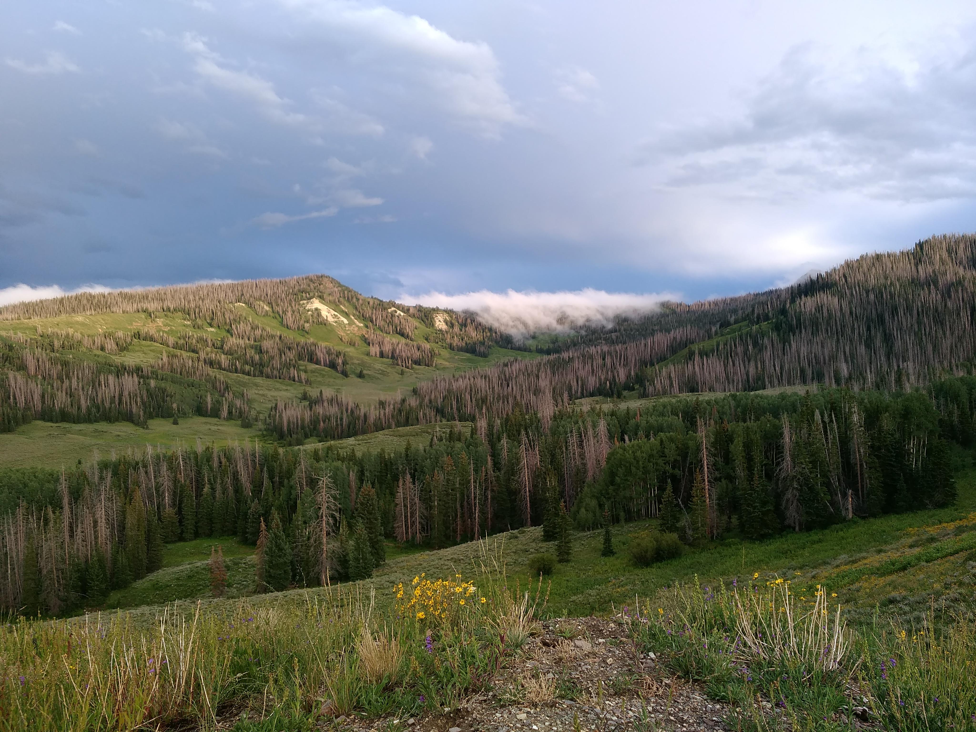 Fish Lake National Forest, Utah. 4096×3072 [OC] r/EarthPorn